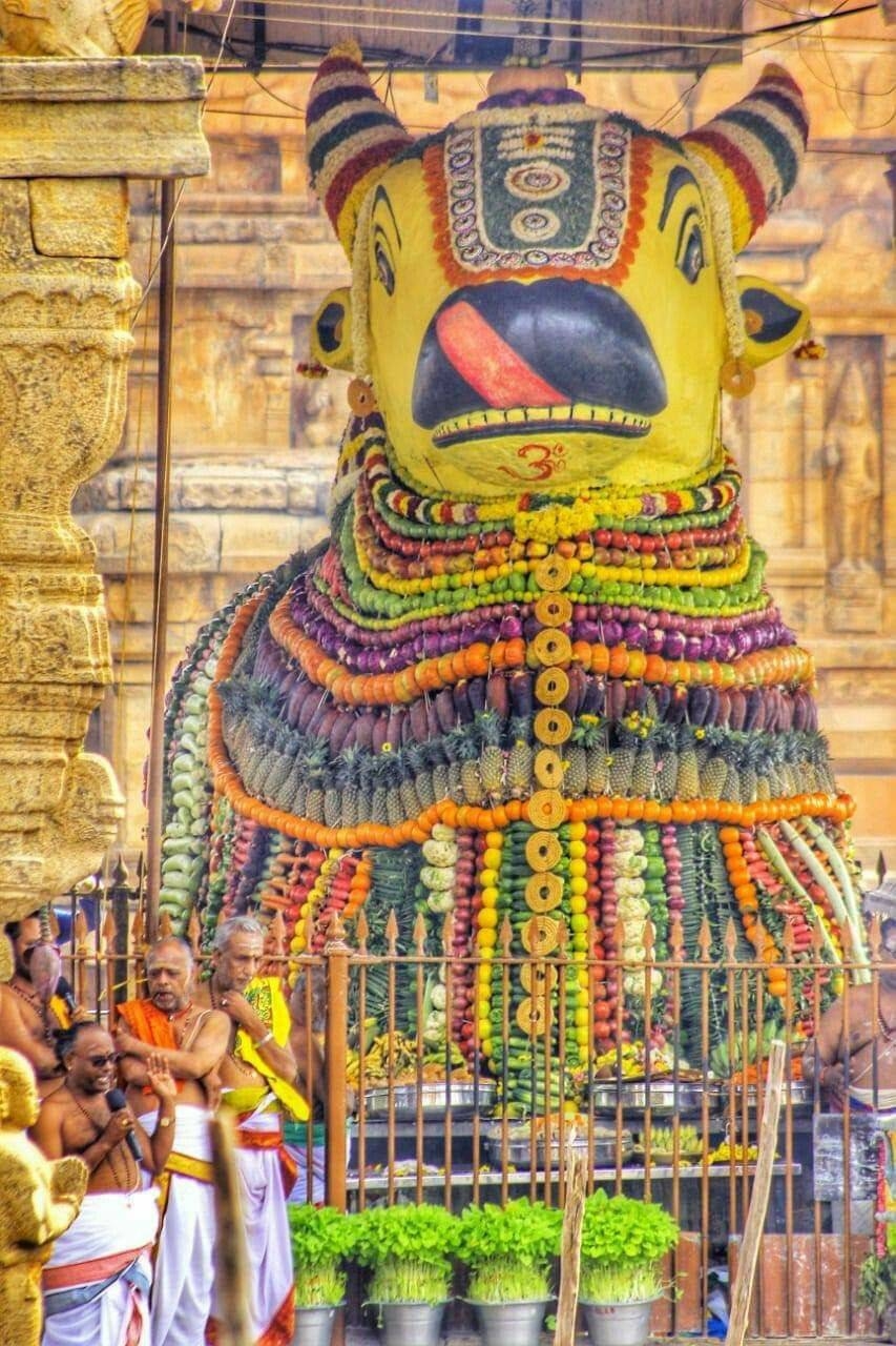 860x1280 Nandi wallpaper, Phone