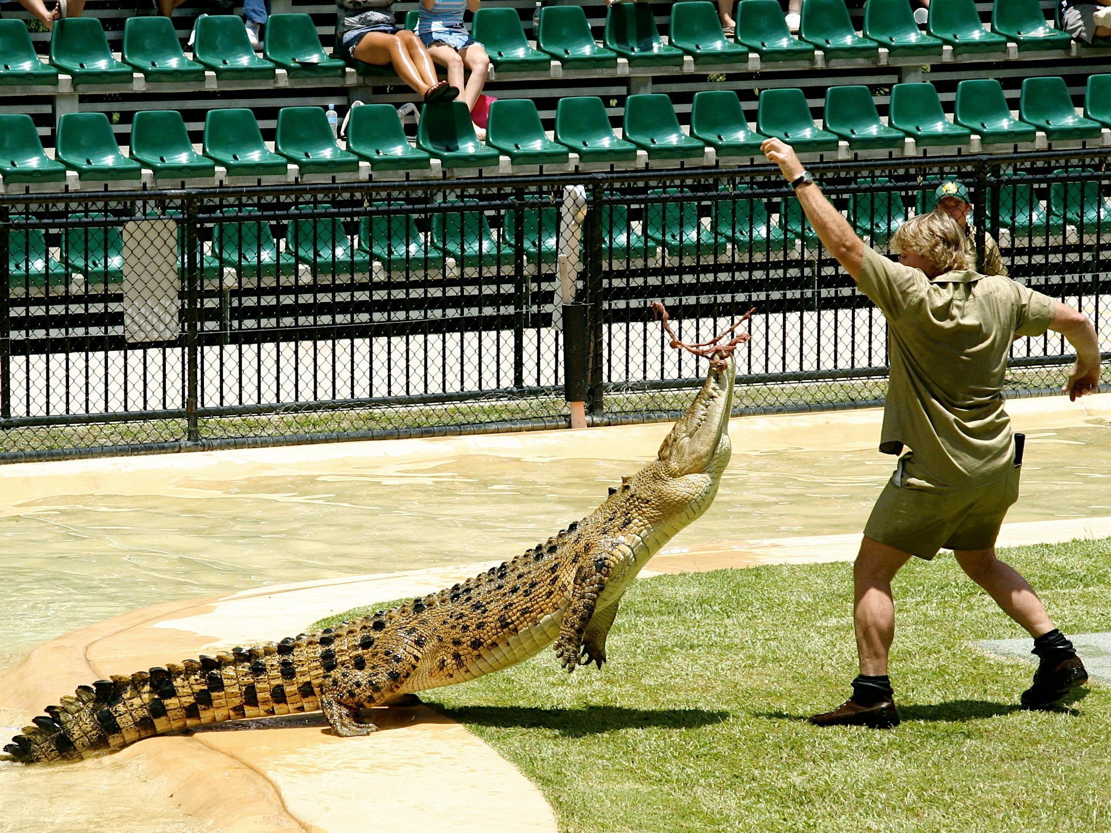 2260x1700 Steve Irwin At Australia Zoo HD Wallpaper. Background Image, Desktop