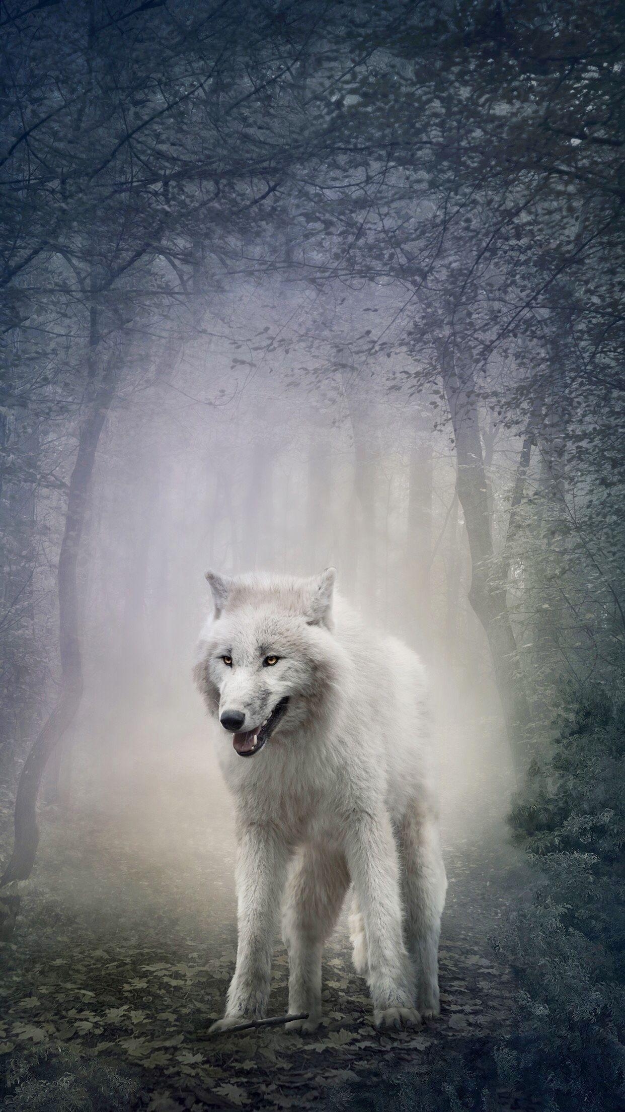 1250x2210 White Wolf iPhone Wallpaper Free White Wolf iPhone, Phone