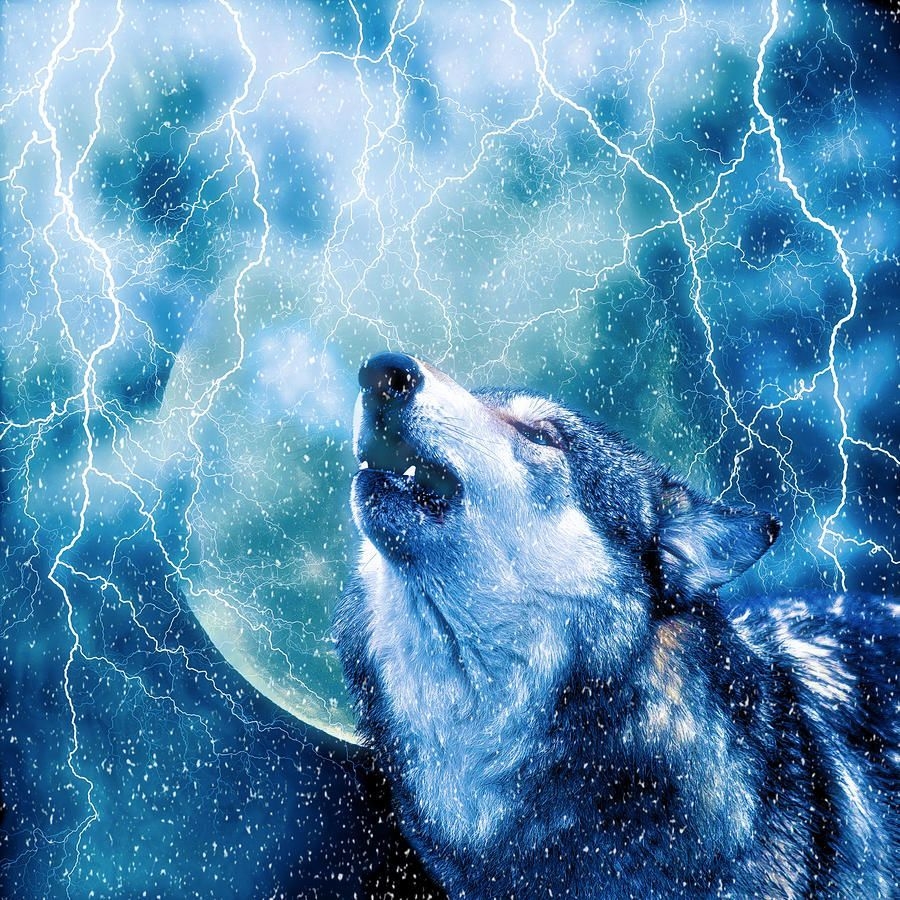 900x900 wolf print.. by Jan Bonner Storm I Fine Art Prints, Phone