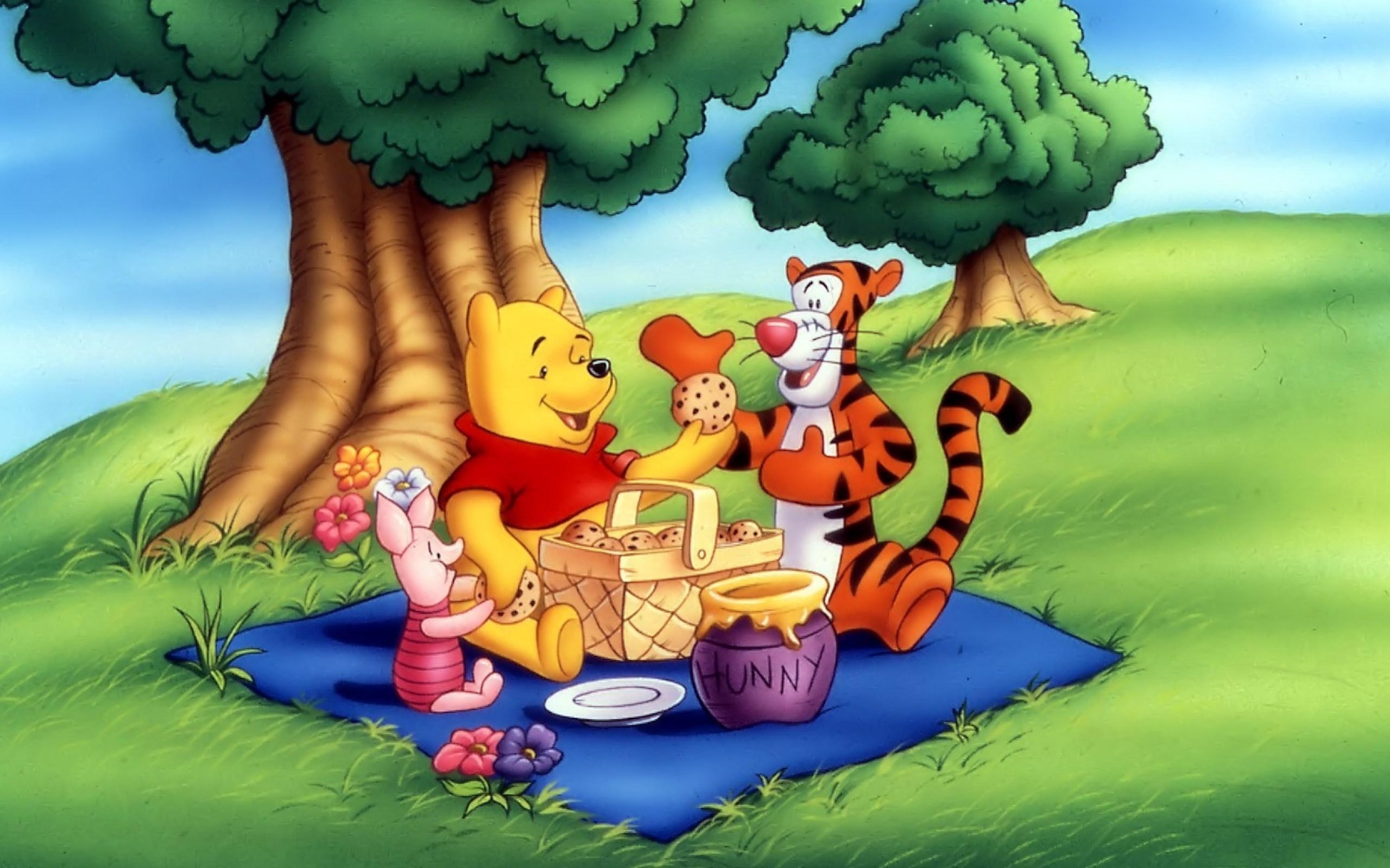 2560x1600 Winnie The Pooh HD Wallpaper and Background, Desktop