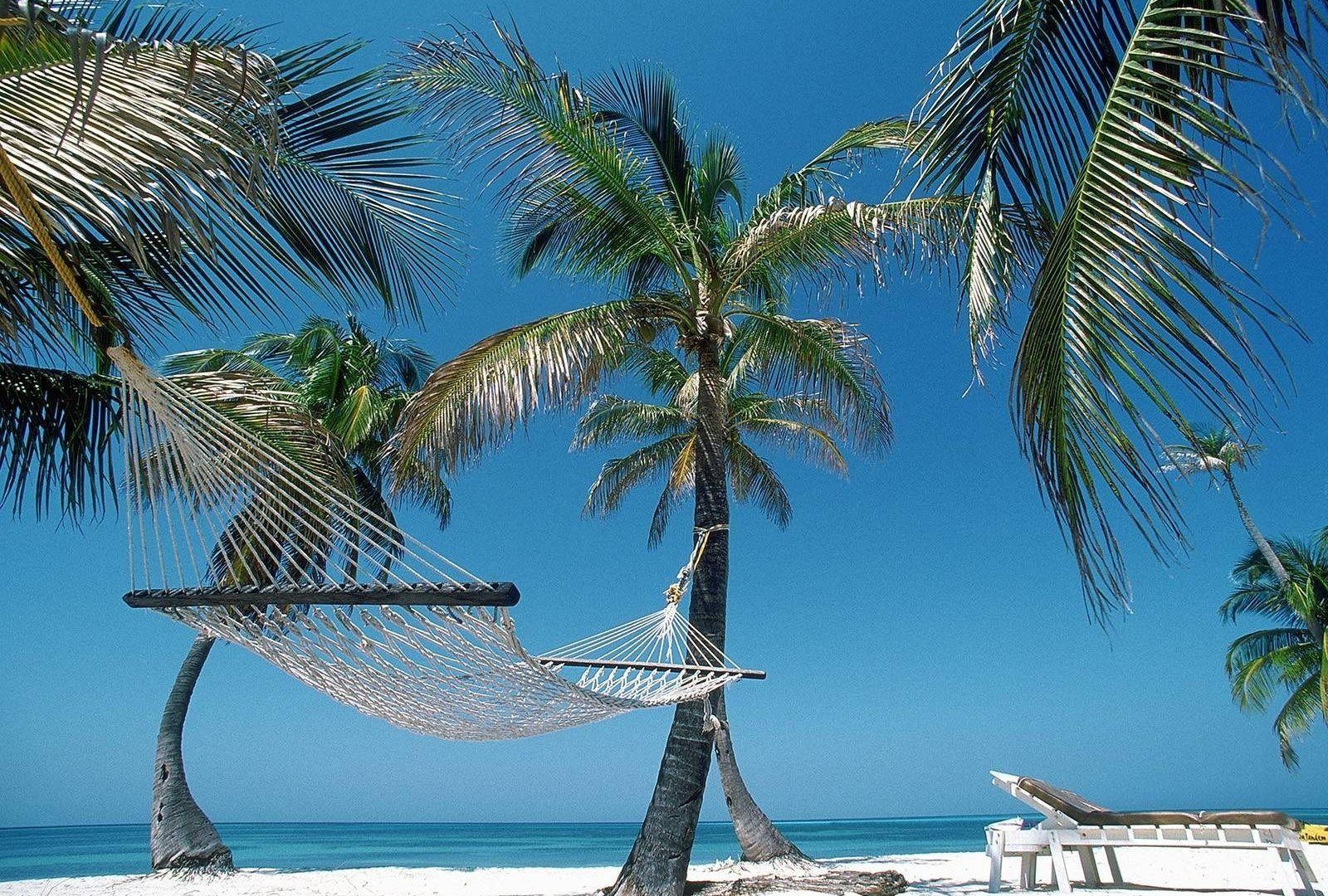 1600x1080 Haiti Tag wallpaper: Hiati Haiti Palm Beach Hammock Relaxing Tree, Desktop