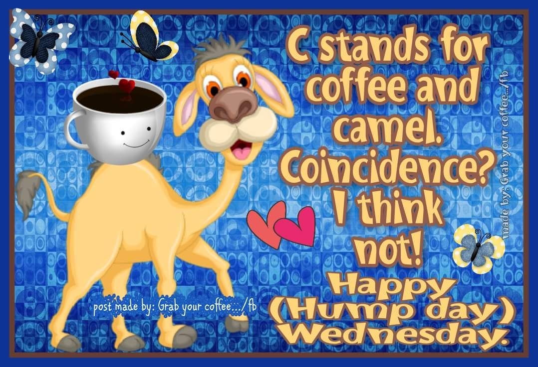 1080x740 Happy Hump Day Wednesday. Happy hump day meme, Hump day quotes, Wednesday hump day, Desktop