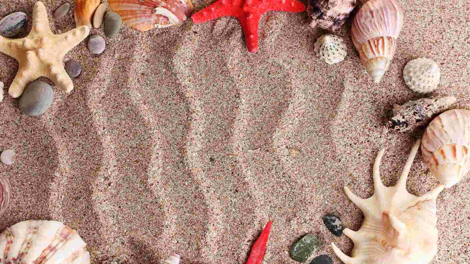 1920x1080 Seashells Wallpaper Border, Desktop