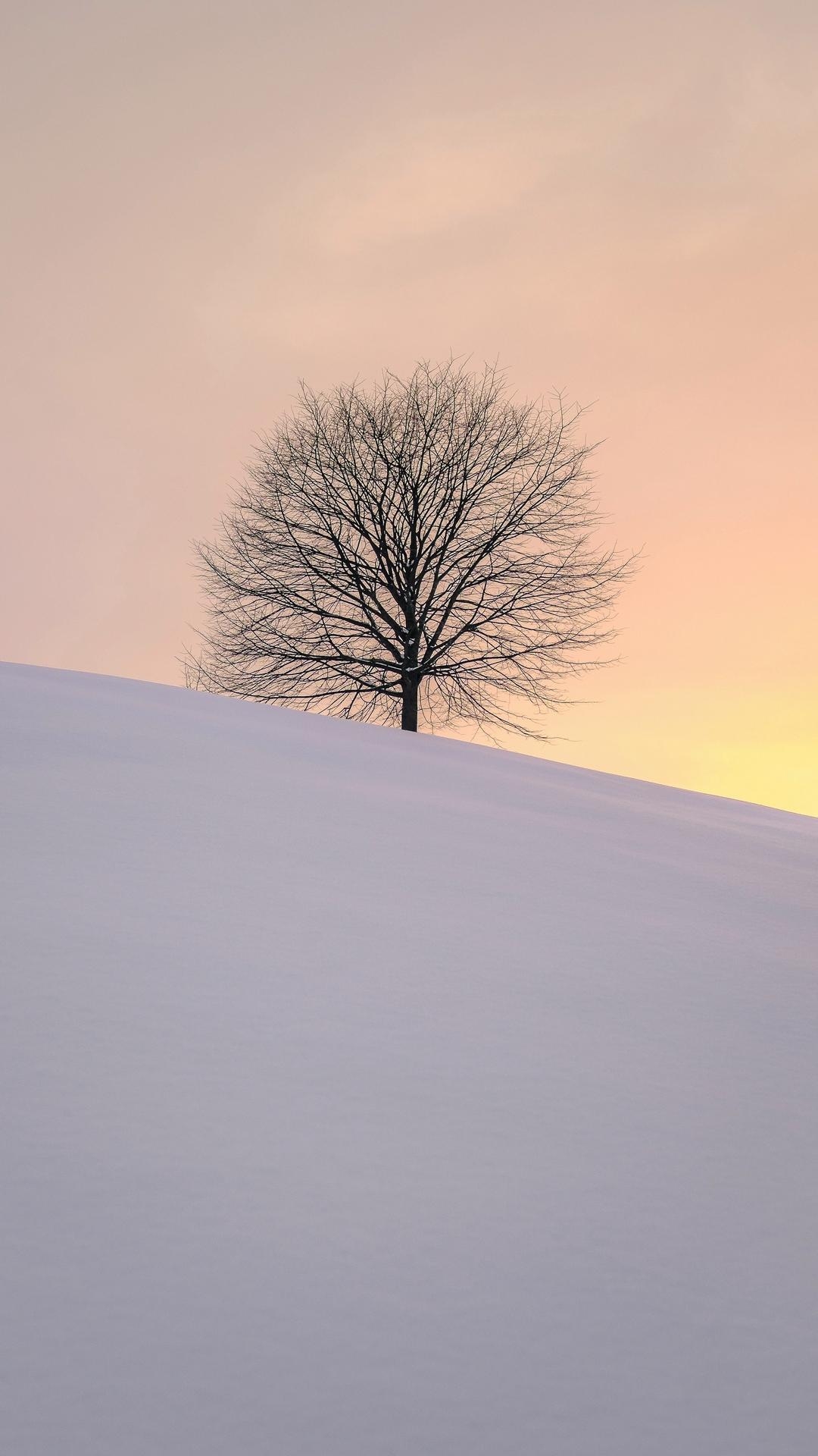 1080x1920 Tree Winter Minimalism Wallpaper - [], Phone