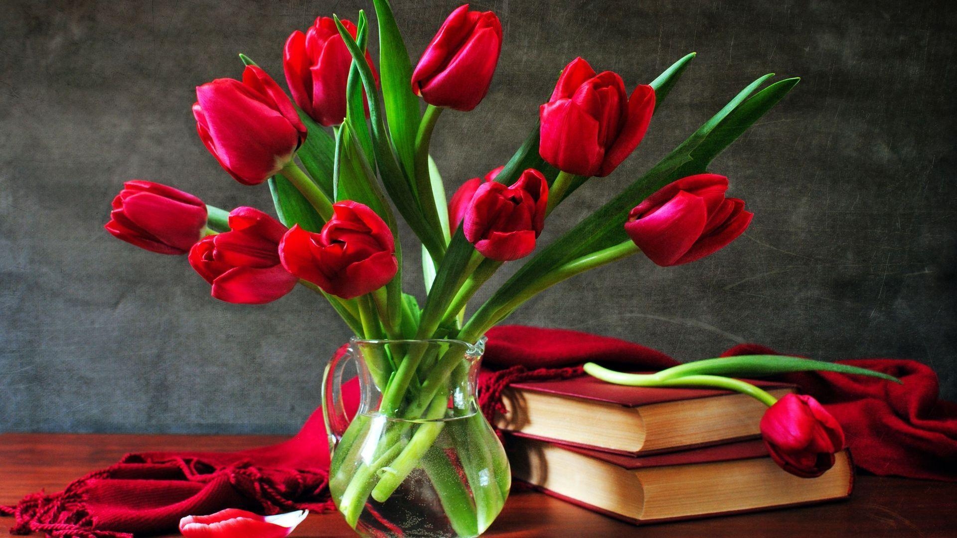 1920x1080 Red tulips Wallpaper #, Desktop