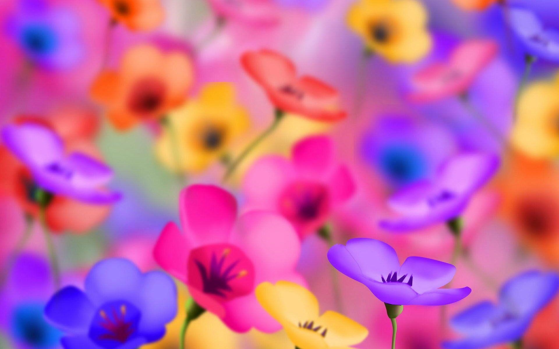 1920x1200 Most Downloaded Colorful Flowers Wallpaper Full HD, Desktop