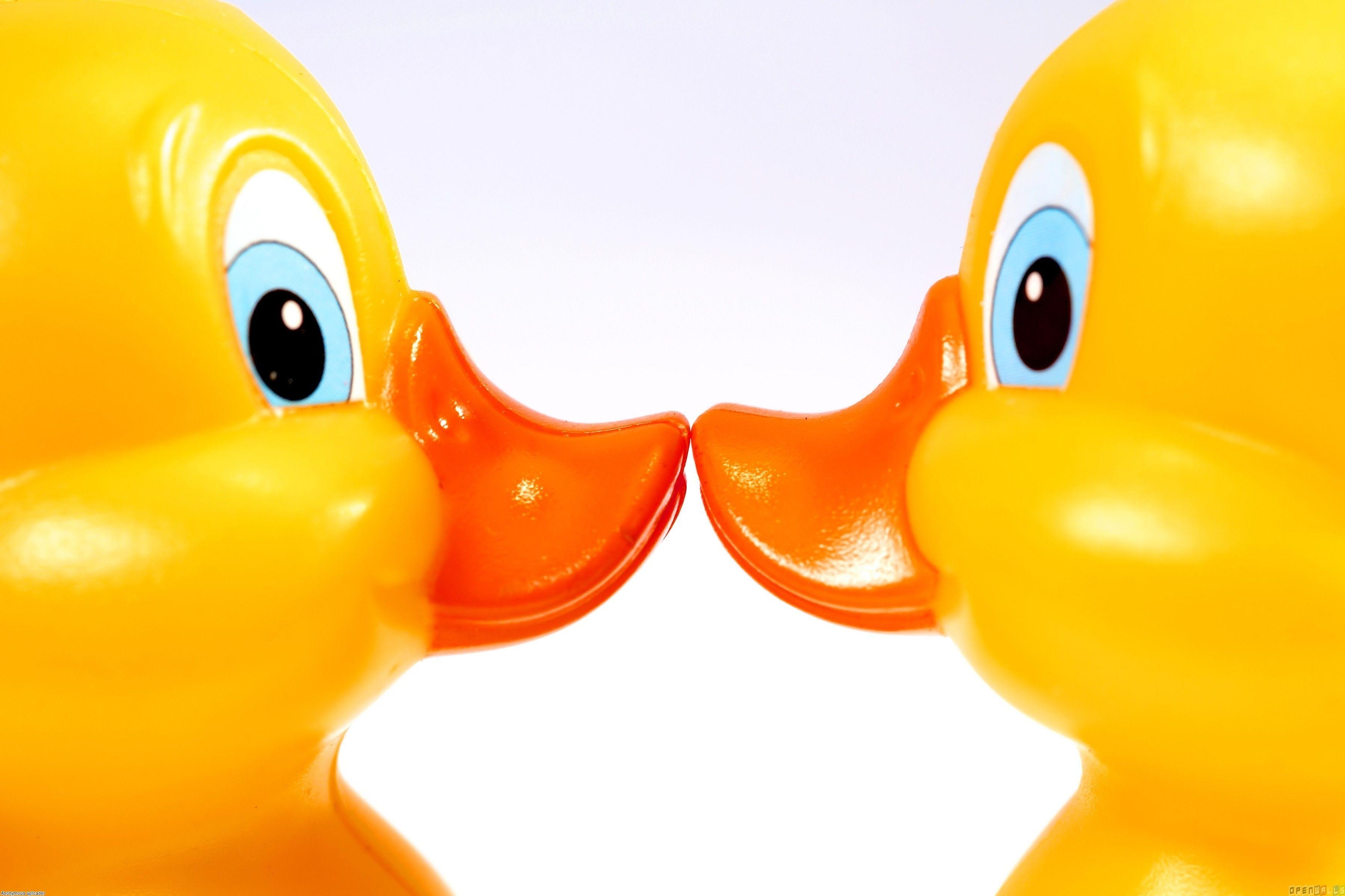 3600x2400 Wallpaper For > Rubber Duck Wallpaper, Desktop