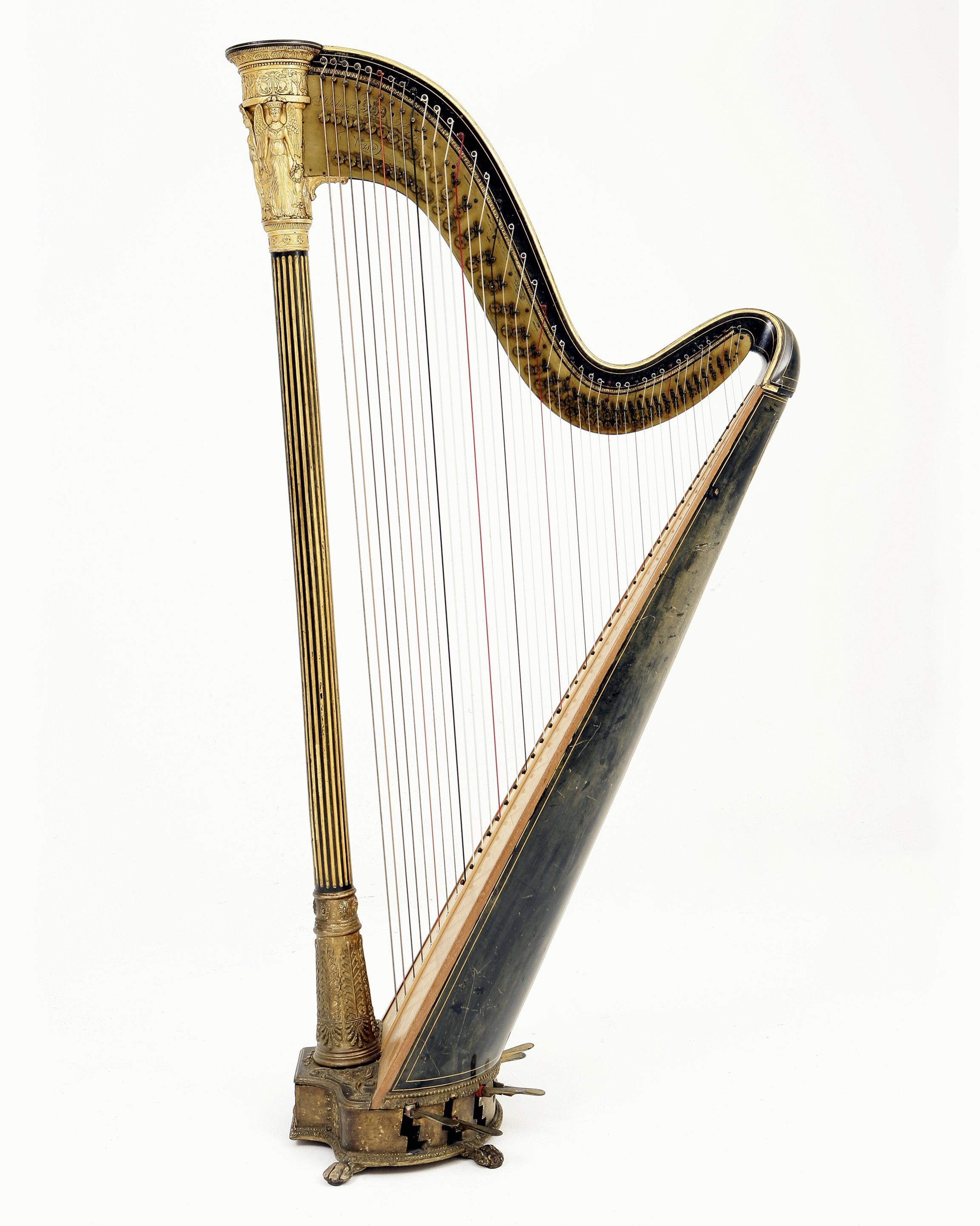 2310x2880 All about Harp Attorney Page Harp Home Page, Phone