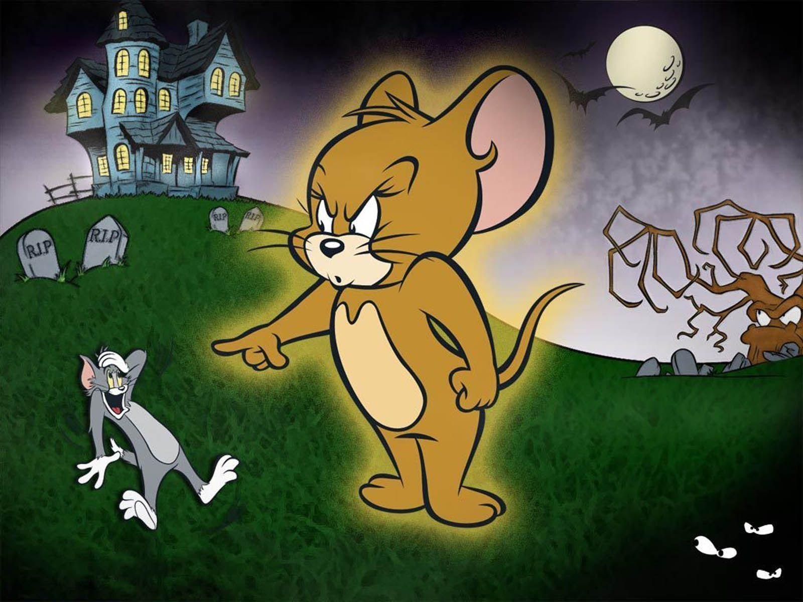 1600x1200 Lovely Wallpaper of Funny Characters Tom & JerryPhotography, Desktop