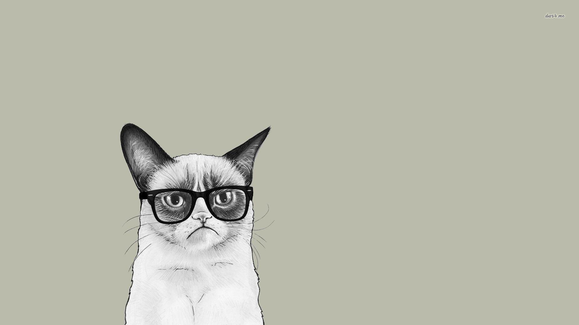 1920x1080 Grumpy Cat On The Bed Wallpaper. Best of High Quality Image, Desktop