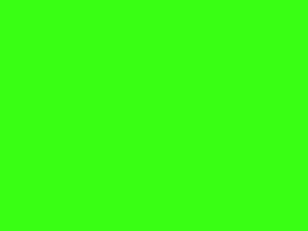 1030x770 Neon Green Solid Color Background, Desktop