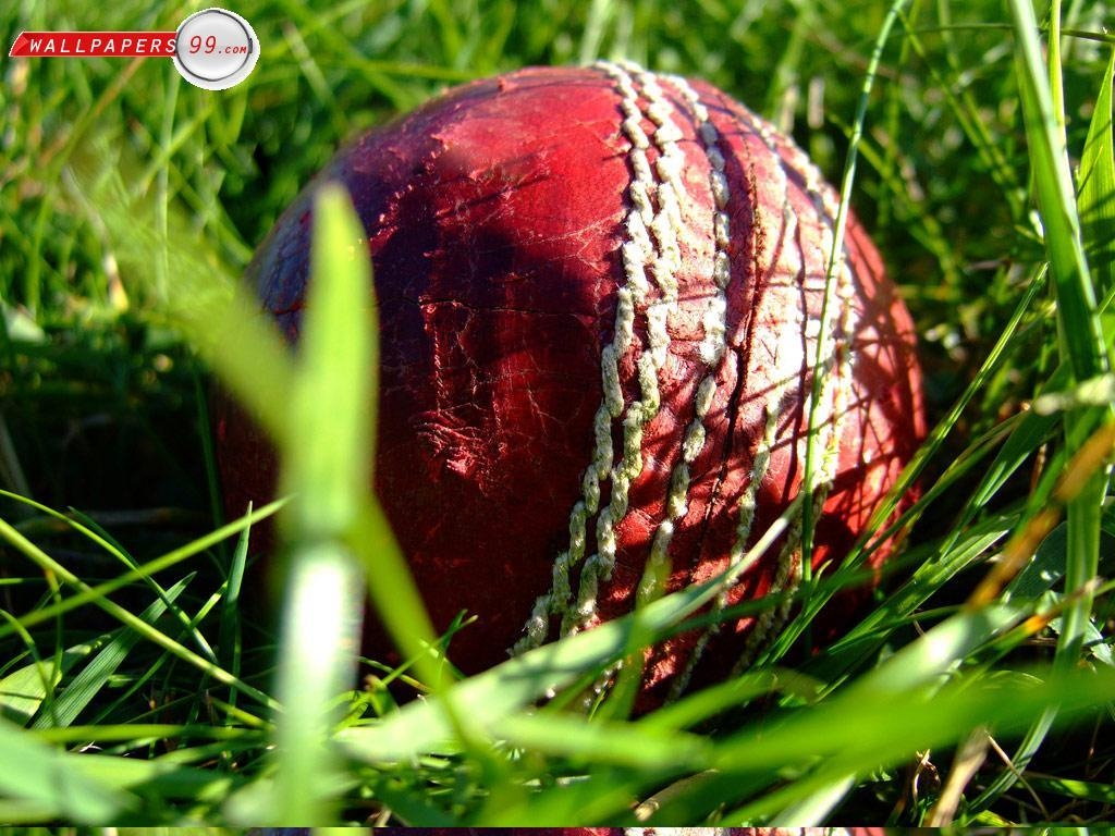 1030x770 Balls And Cricket Bats Wallpaper Picture Image  10229, Desktop