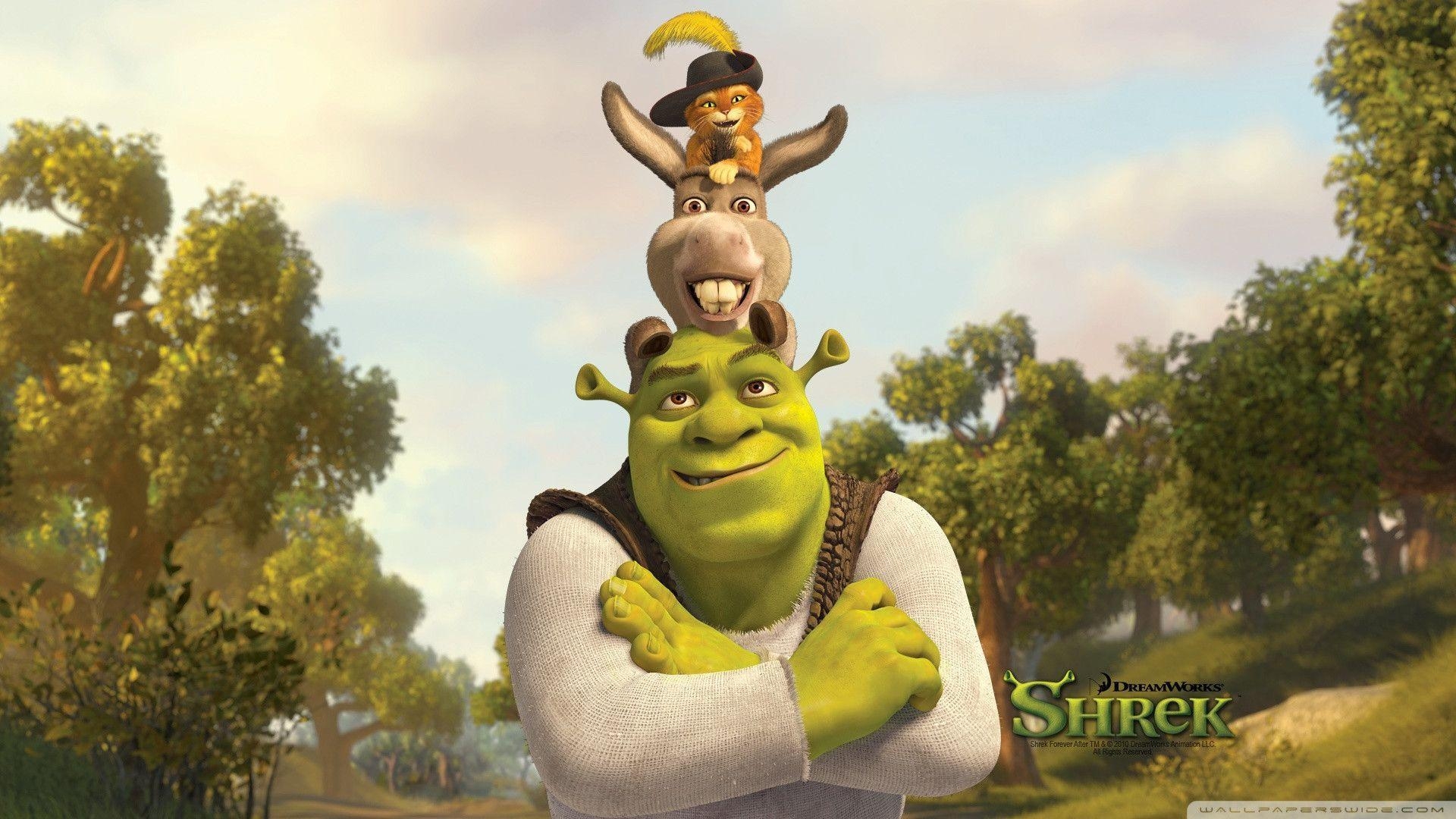 1920x1080 Aesthetic Shrek Wallpaper, Desktop