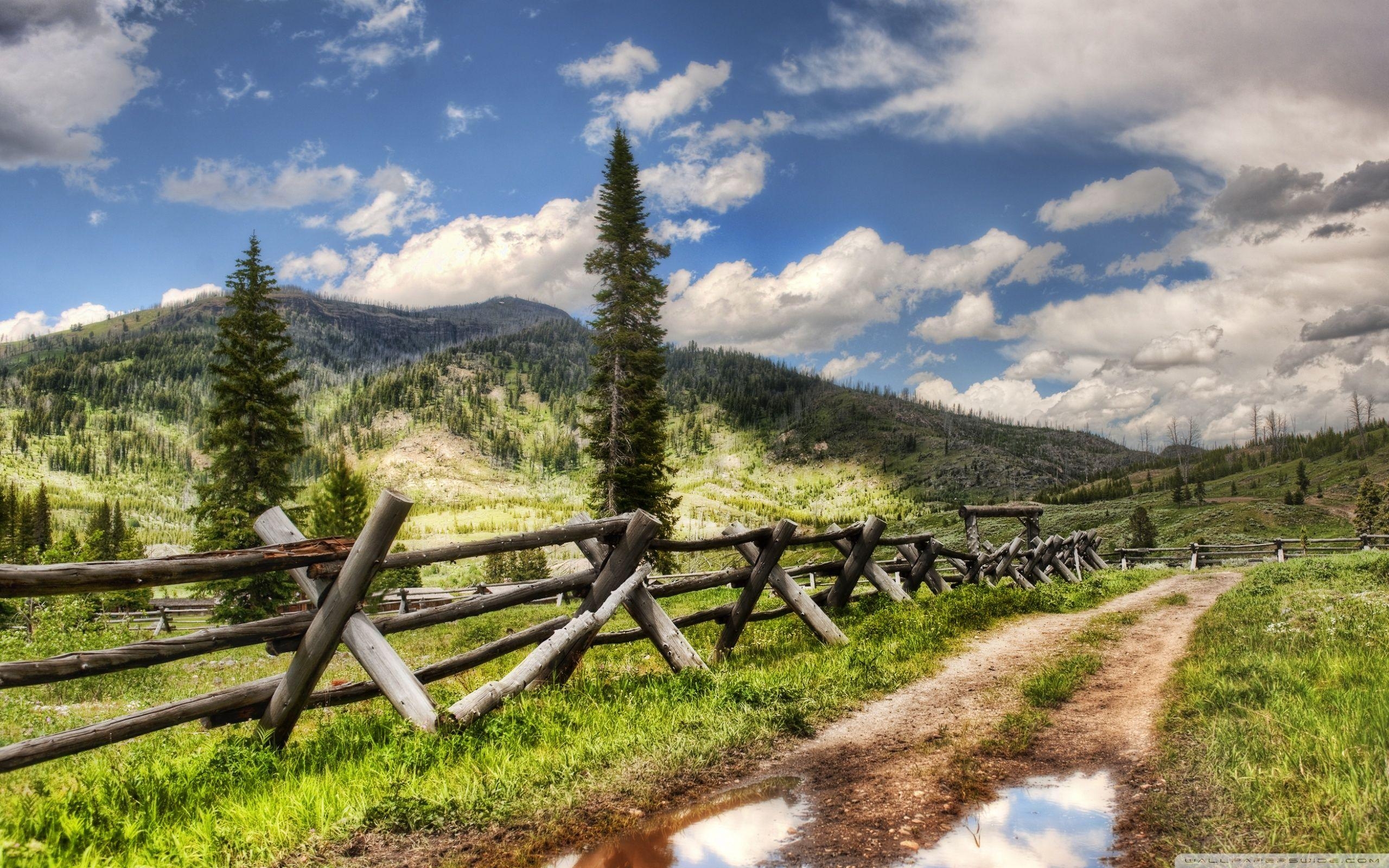 2560x1600 Yellowstone National Park ❤ 4K HD Desktop Wallpaper for 4K Ultra, Desktop