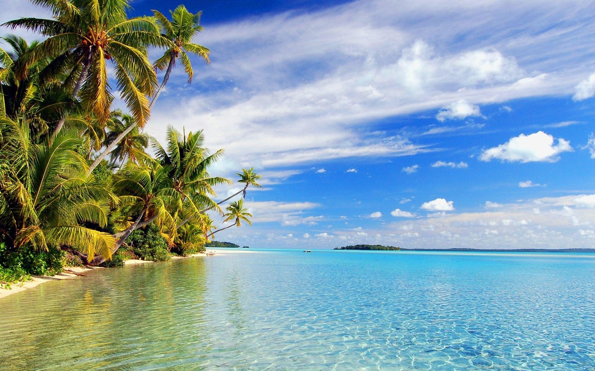 1920x1200 HD Tropical Wallpaper. Tropical Best Picture Collection, Desktop