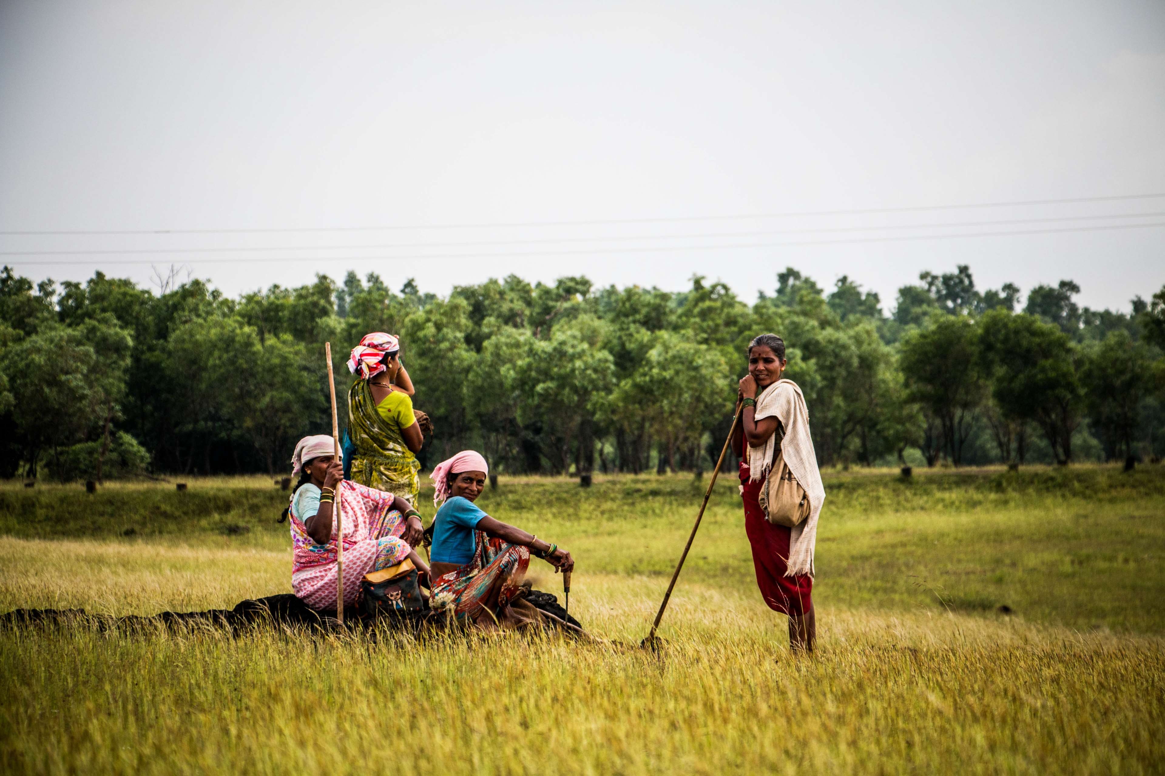 3840x2560 countryside, dramatic, india, mothernature, nature, nature, Desktop