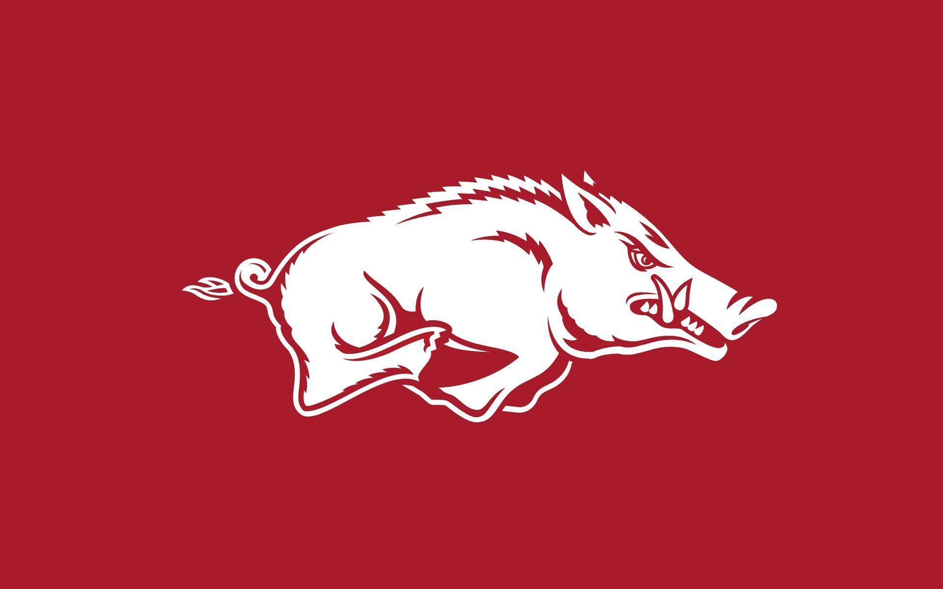 1920x1200 ARKANSAS RAZORBACKS college football wallpaperx1200, Desktop