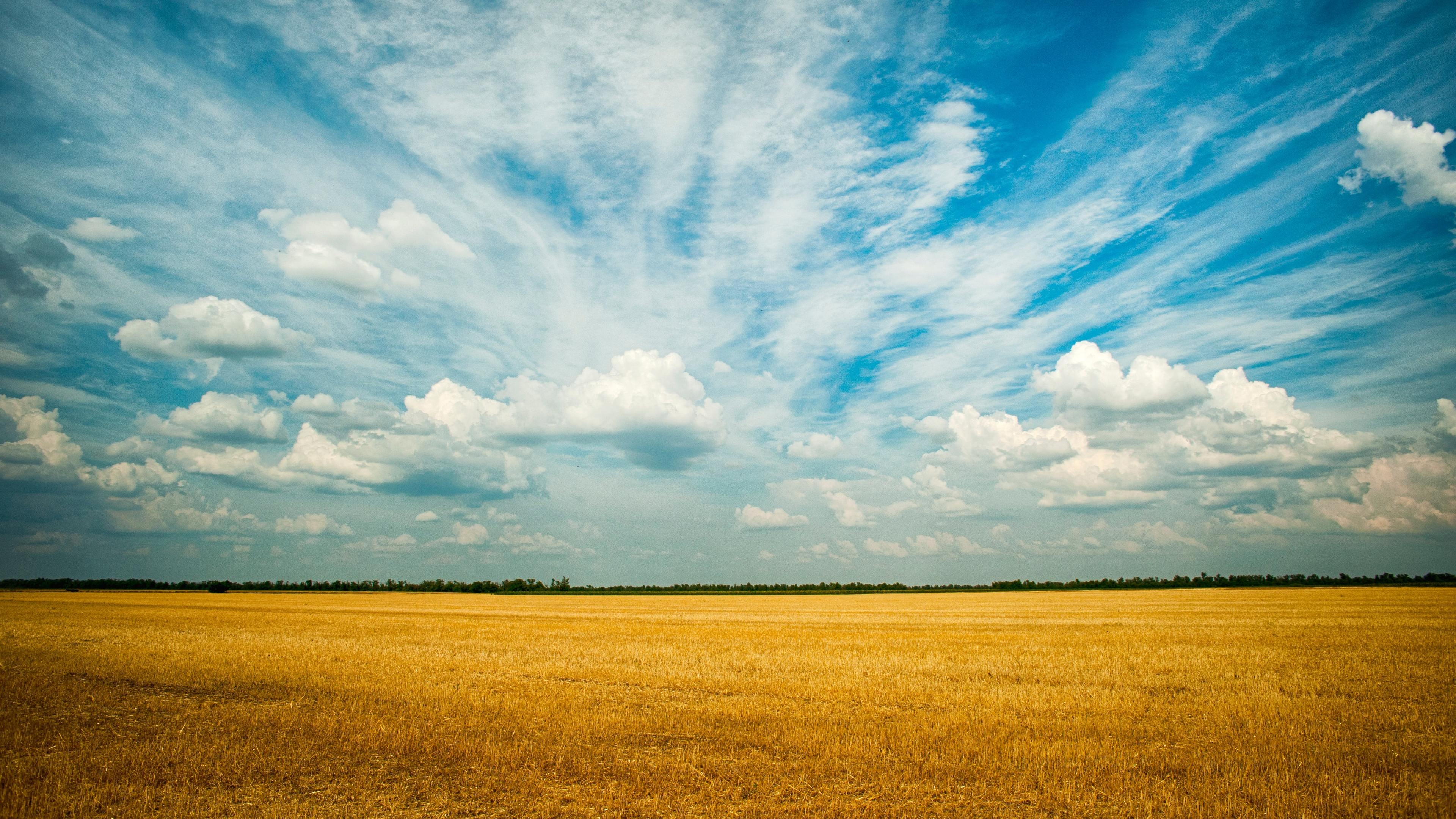 3840x2160 Wallpaper 4k Yellow Grass Field 4k 4k Wallpaper, Farm Wallpaper, Field Wallpaper, Grass Wallpaper, Hd Wallpaper, Nature Wallpaper, Desktop