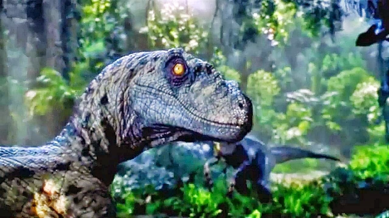 1280x720 Free download Dinosaur Wallpaper From Jurassic park Wallpaper Fever [] for your Desktop, Mobile & Tablet. Explore Jurassic Park Wallpaper HD. Jurassic Park Wallpaper, Jurassic Park T Rex Wallpaper, Desktop