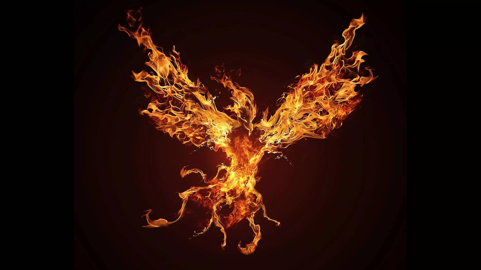 1920x1080 Flying Fire Phoenix HD Wallpaper, Desktop