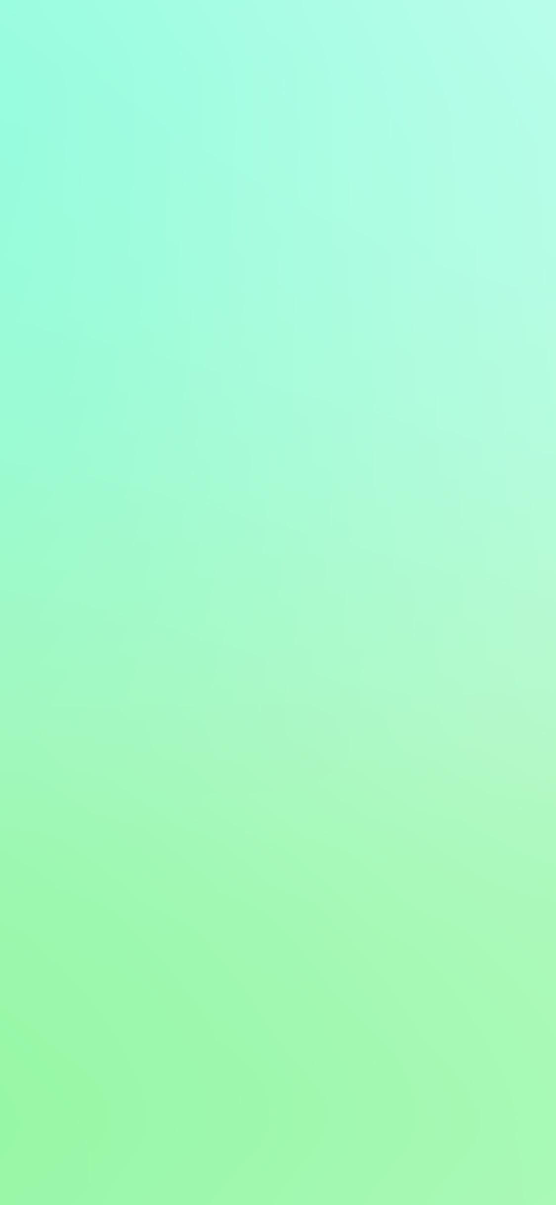 1130x2440 Pastel Green Background, Best Background Image, HD Wallpaper, Phone