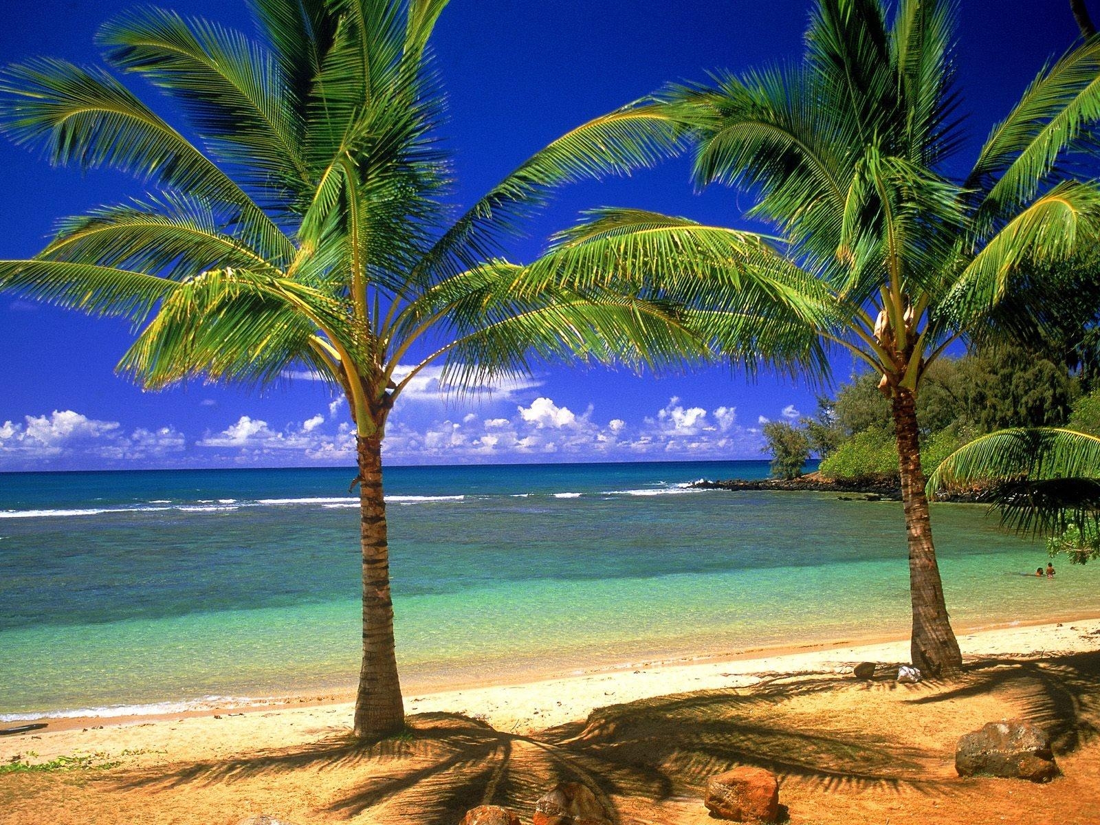 1600x1200 Tropical Paradise Wallpaperx1200, Desktop