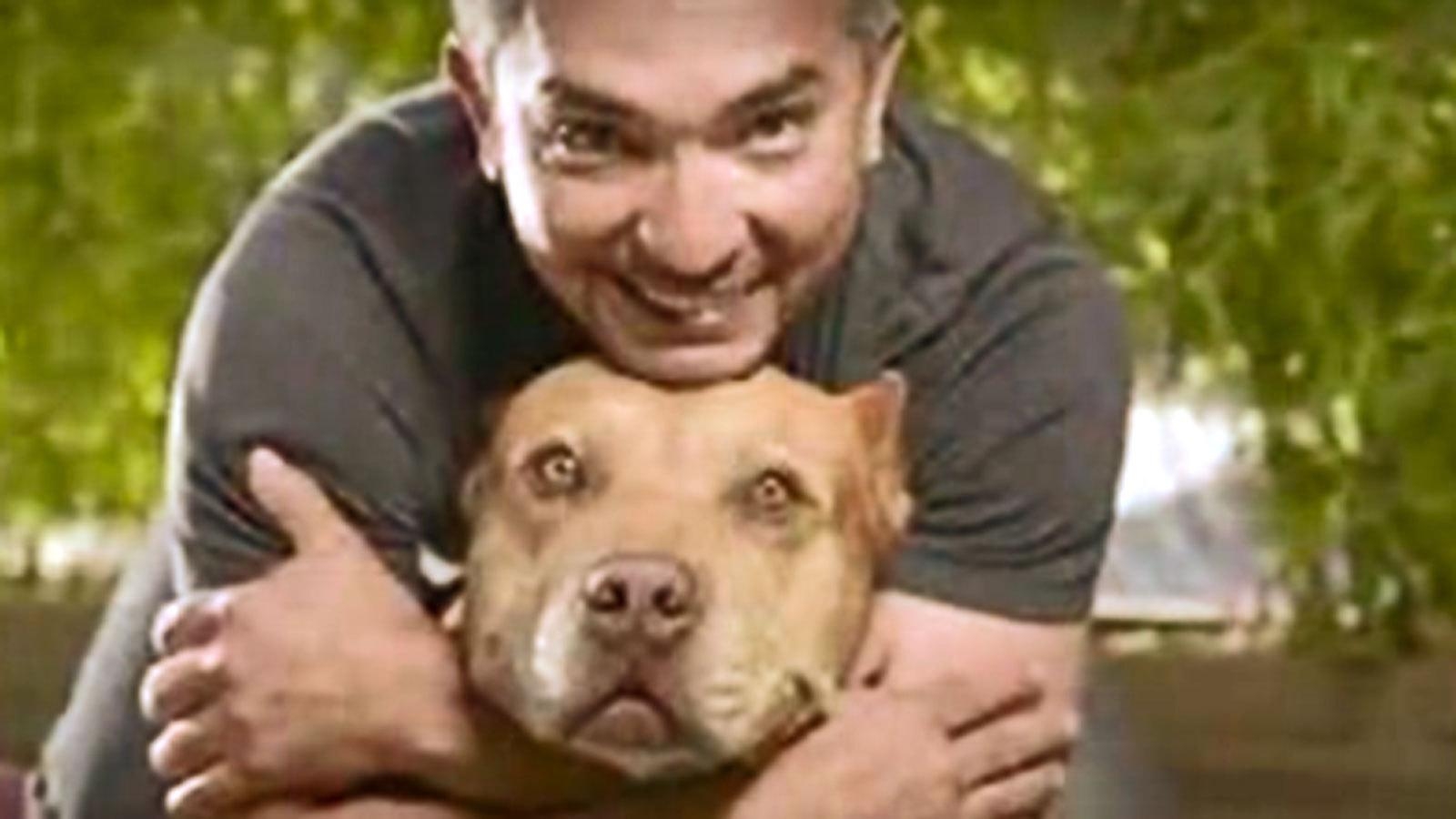 1600x900 Dog Whisperer' Cesar Millan sued in pit bull attack news, Desktop