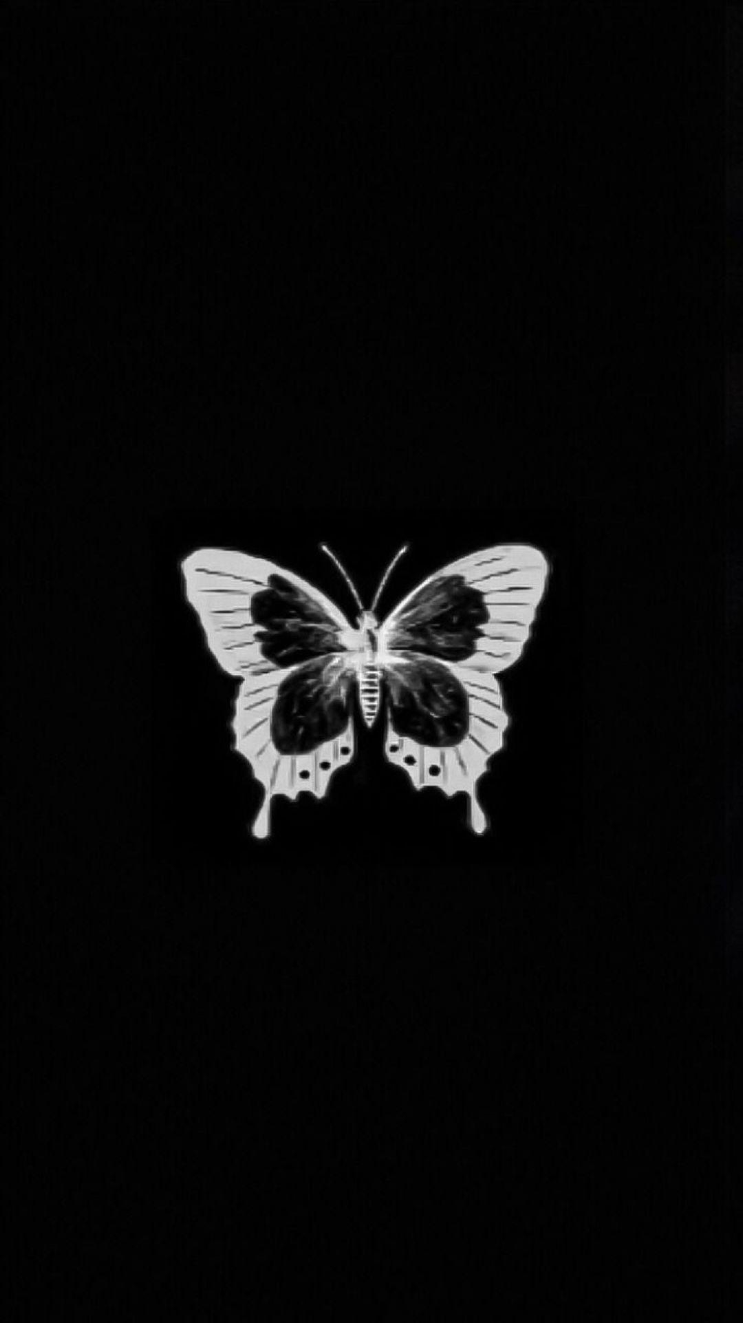 1080x1930 Butterfly Aesthetic Wallpaper, Phone