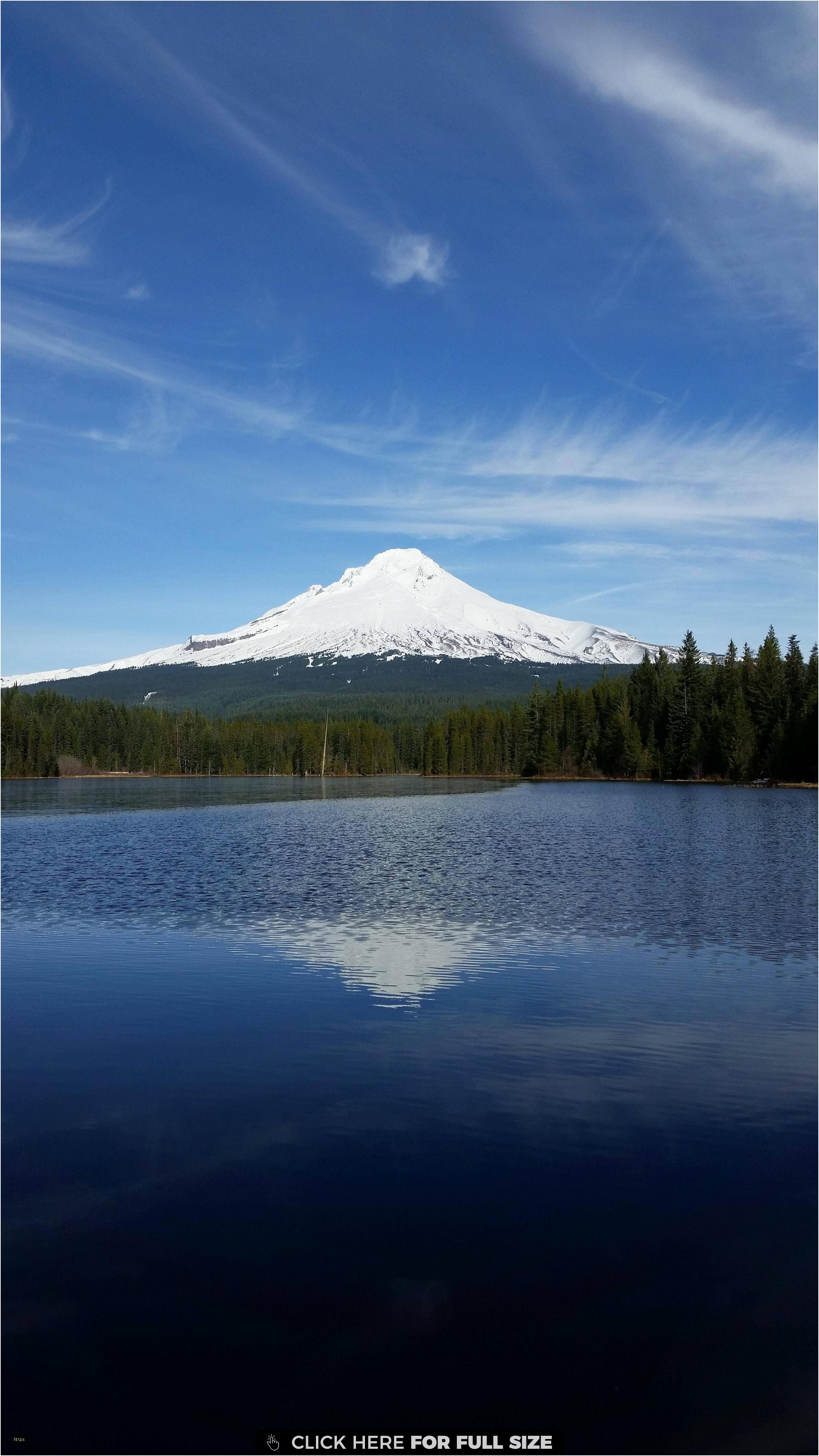 2390x4250 Lovely oregon Wallpaper. The Best Wallpaper Collection, Phone