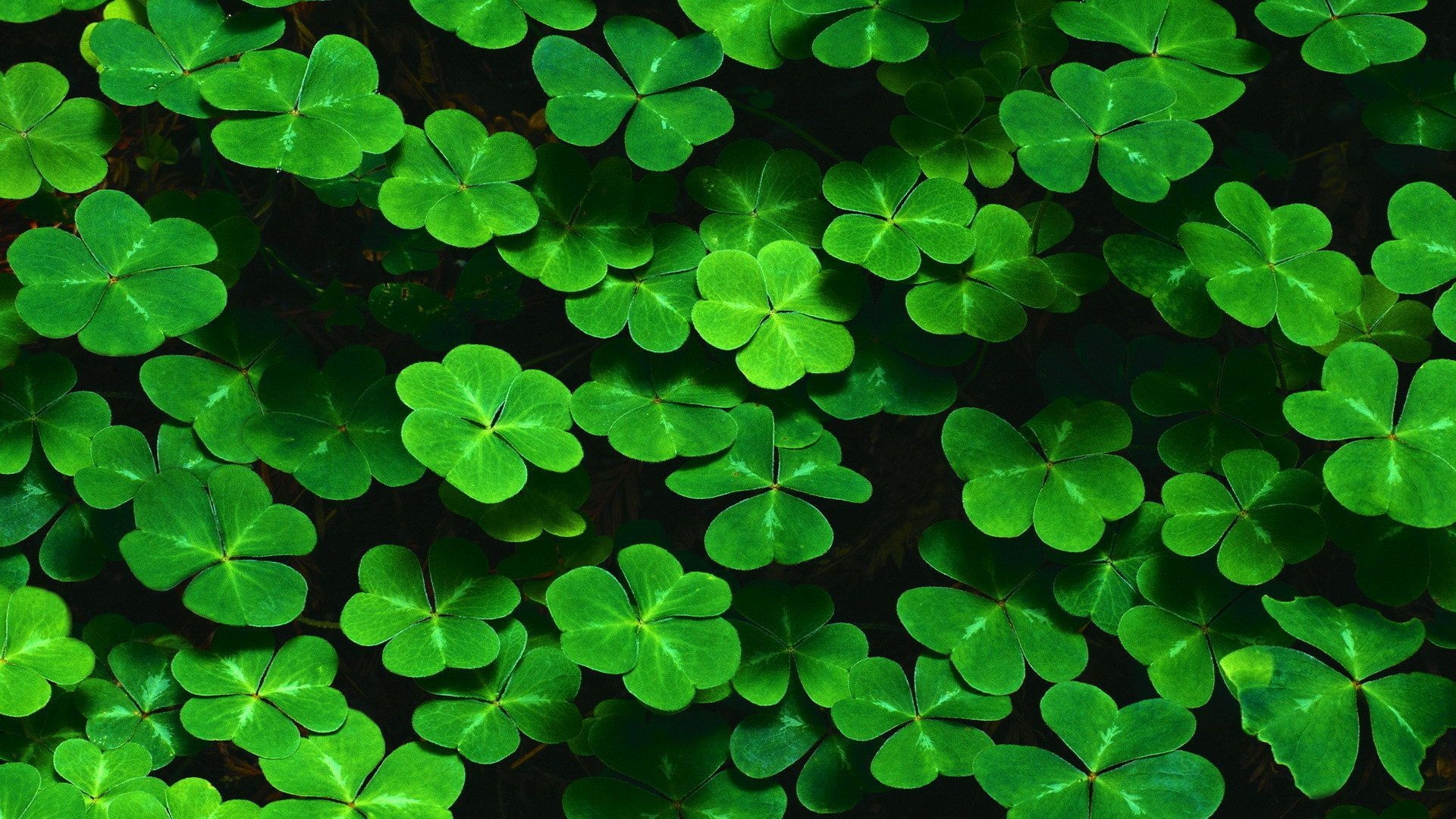 1920x1080 Green Aesthetic Mac Wallpaper Free Green Aesthetic Mac Background, Desktop