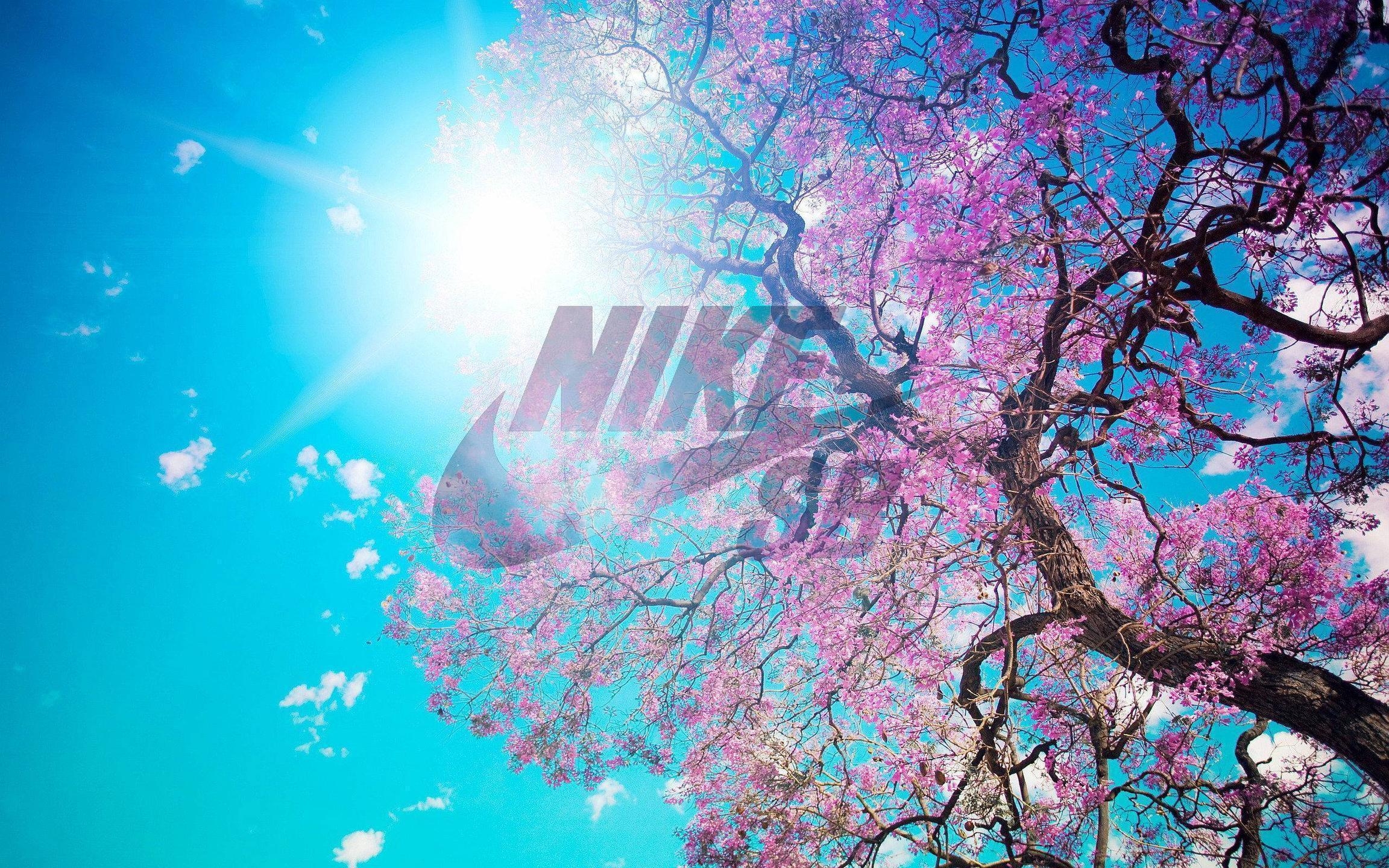 2310x1440 Nike SB Spring 2014 Rumors, Desktop