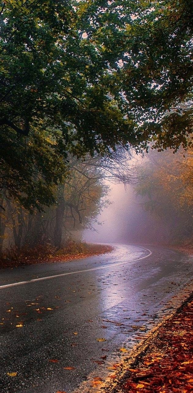 630x1280 Autumn rainy day Wallpaper Download, Phone