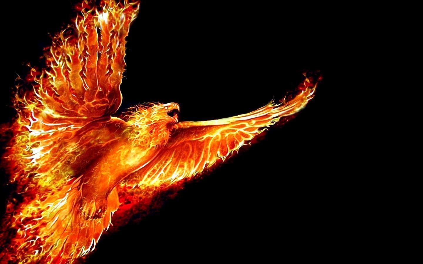 1440x900 Downloads Picture Phoenix Bird, Desktop