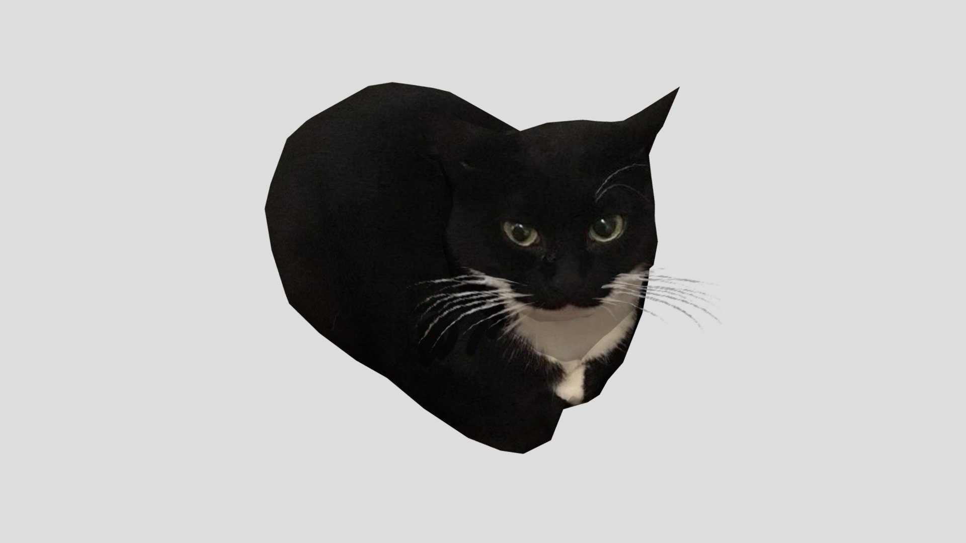 1920x1080 dingus the cat Free 3D model by bean(alwayshasbean) [2ca7f3c], Desktop