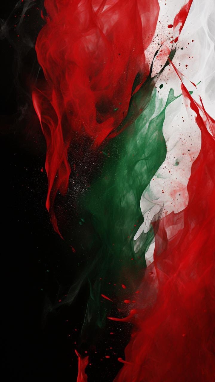 720x1280 wallpaper! Palestine colors, Phone