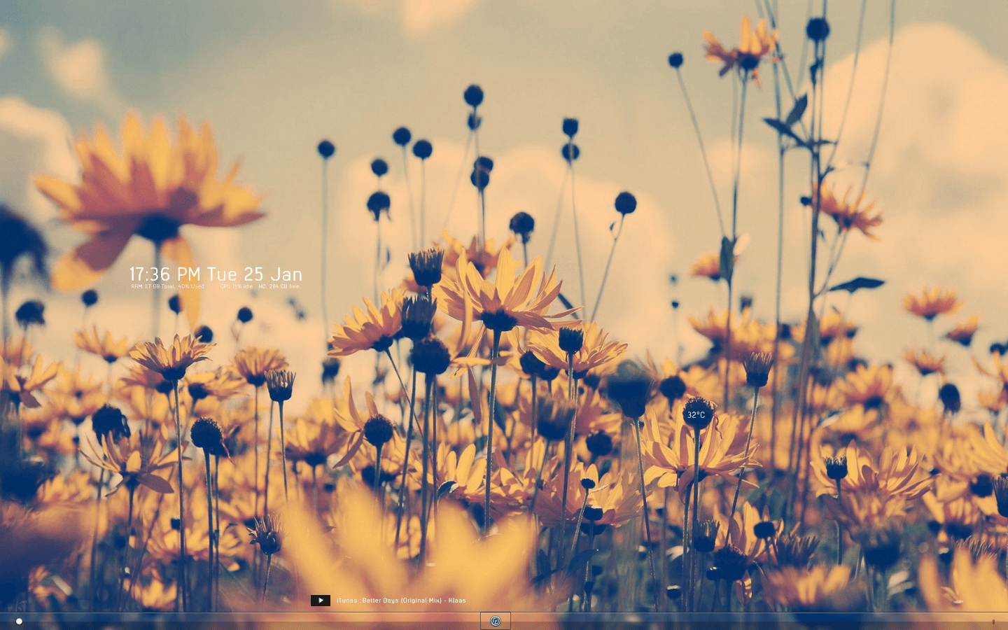 1440x900 Aesthetic Flower Wallpaper For Chromebook, Desktop