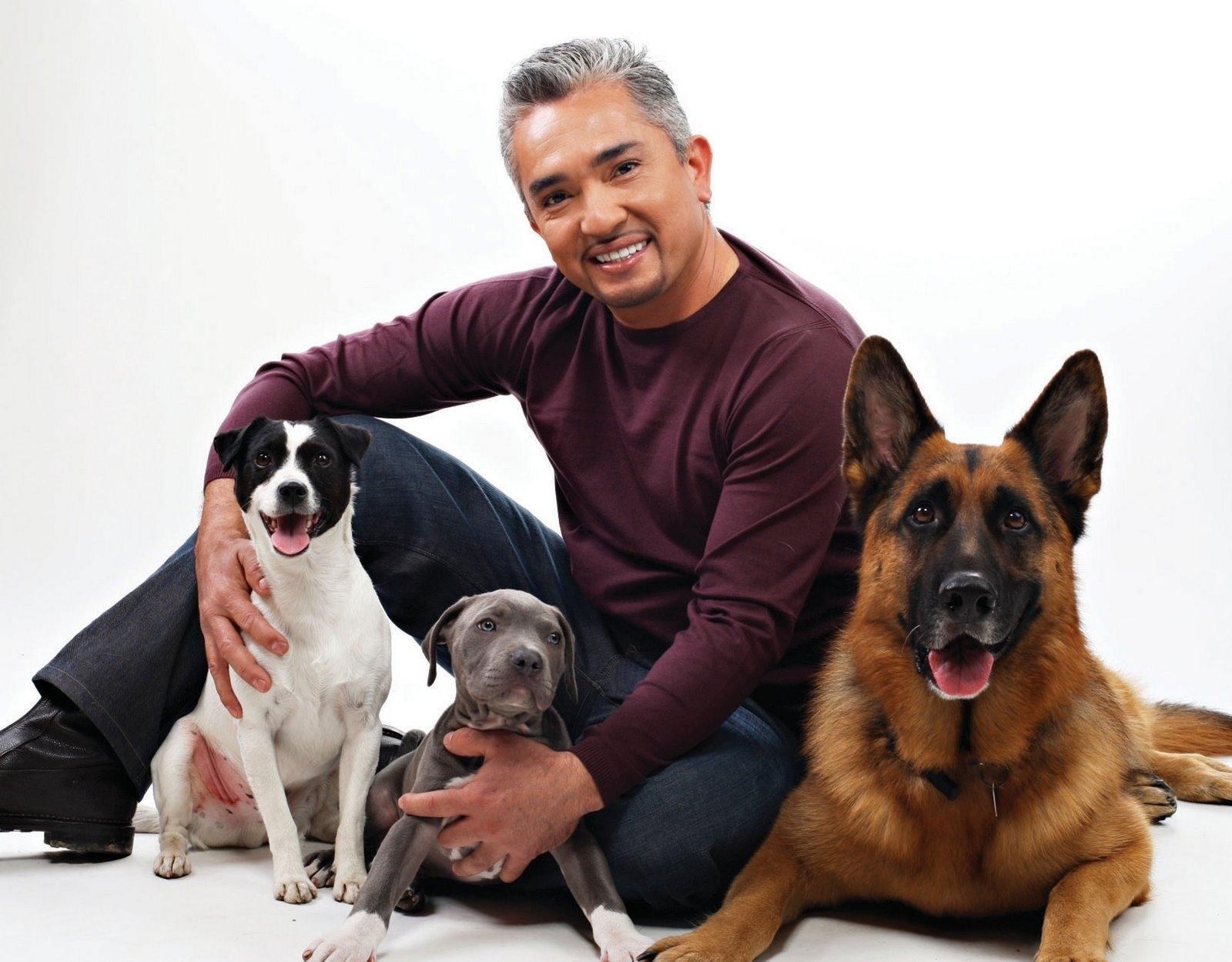 1600x1250 Cesar Millan is a genius Dog Whisperer Wallpaper, Desktop