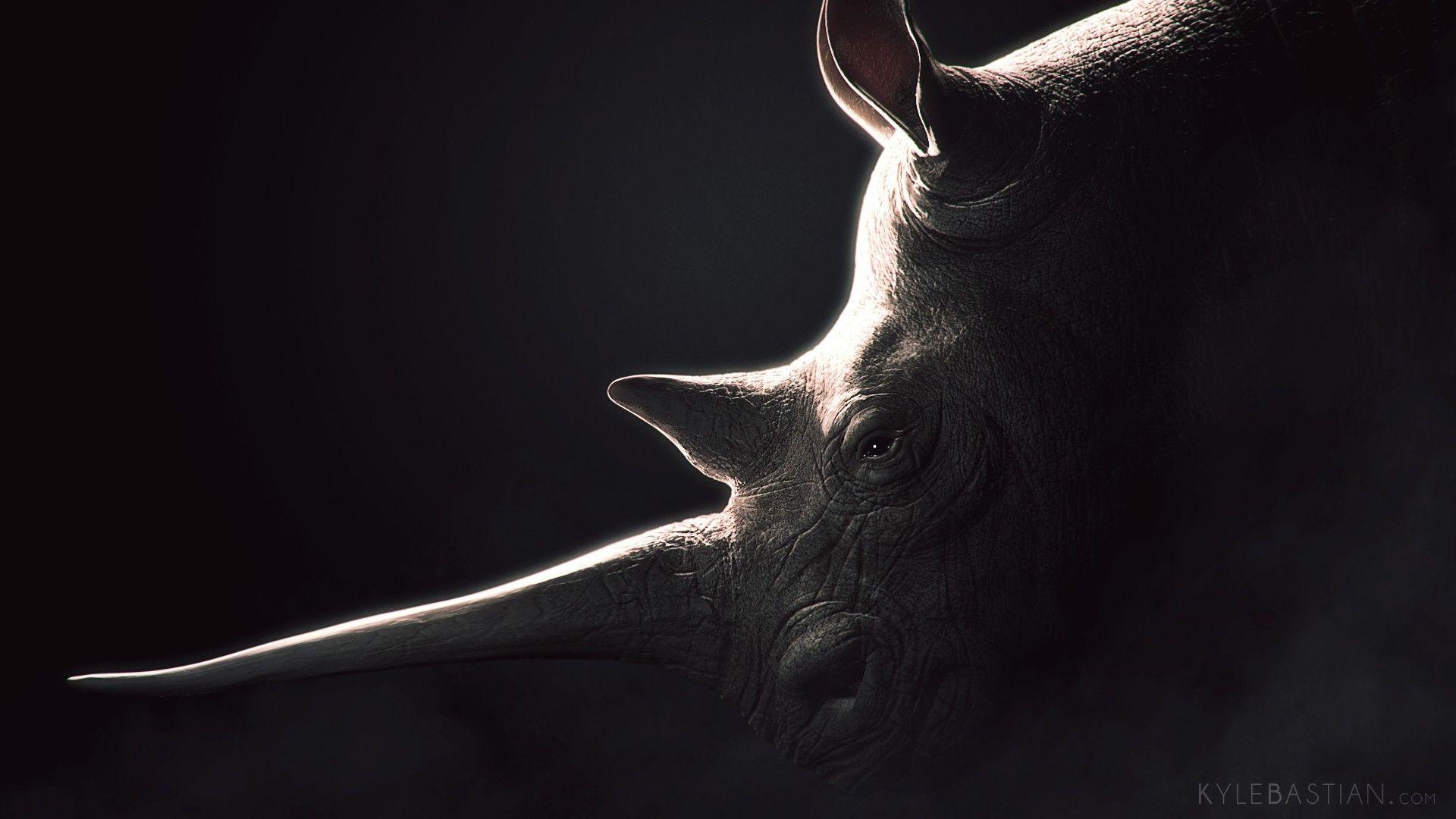 1920x1080 Rhinoceros, black background Wallpaper download, Desktop