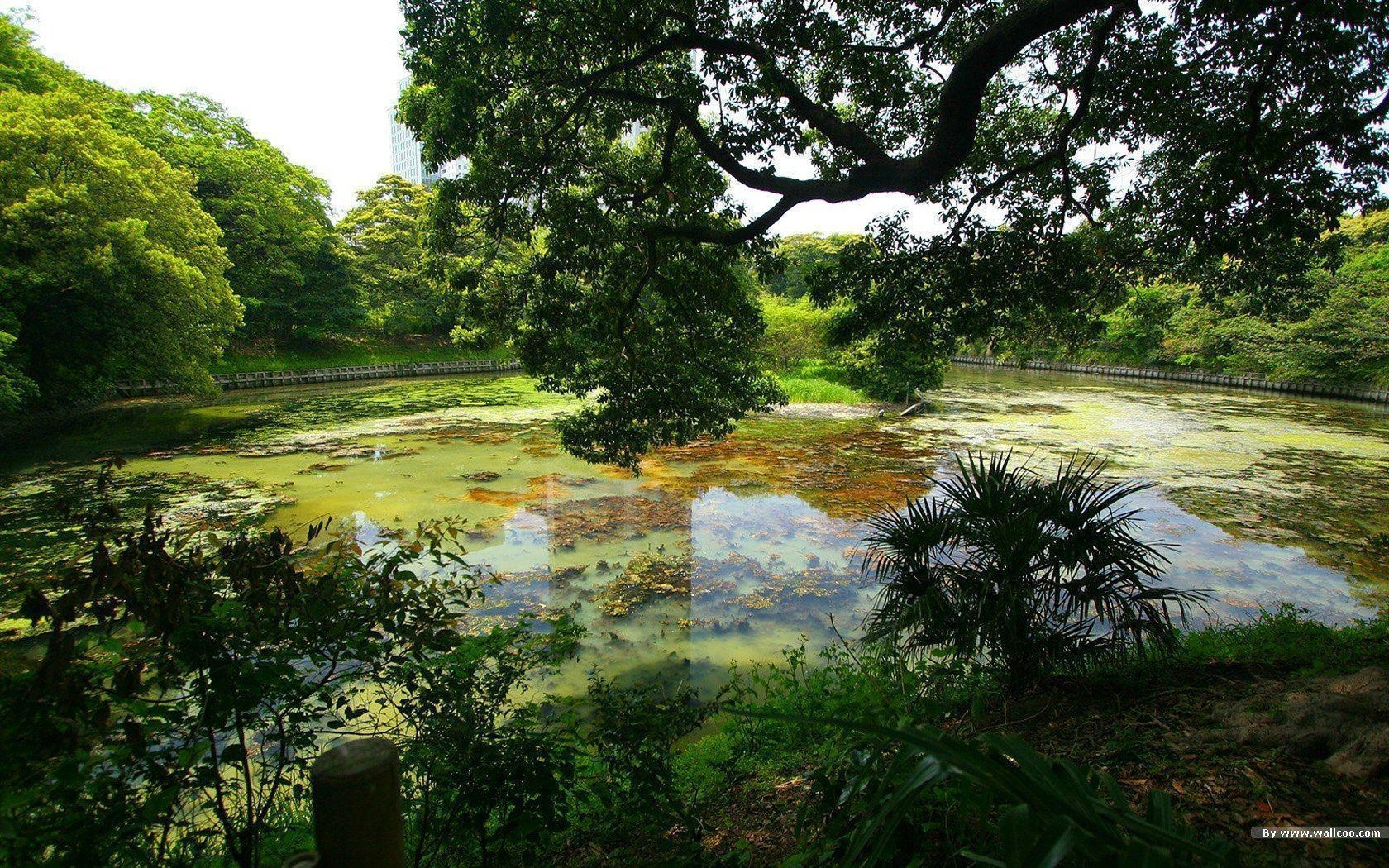 1680x1050 1680*1050 Beautiful Japanese Garden wallpaper  NO.2, Desktop