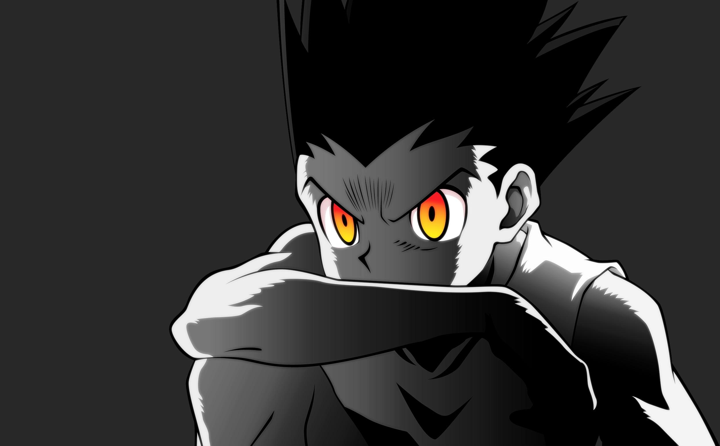 2510x1560 Boy illustration, Hunter x Hunter, Gon Freecss HD wallpaper, Desktop