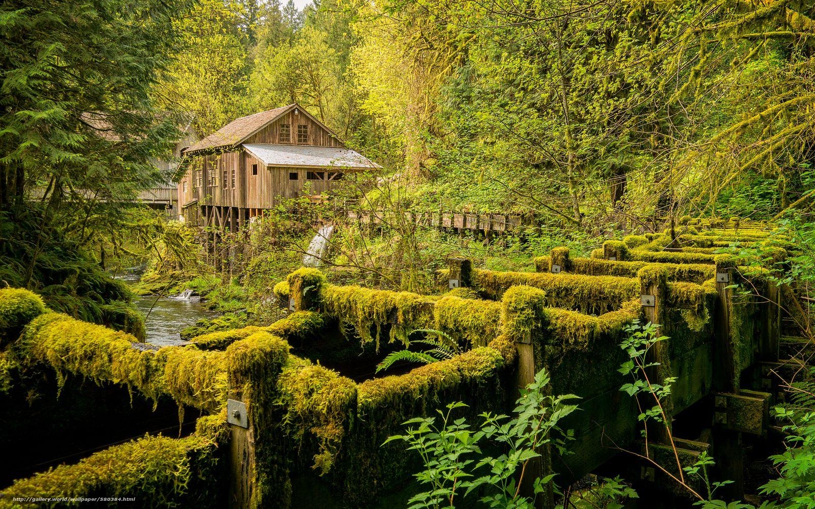 1600x1000 Download wallpaper Cedar Creek Grist Mill, Washington State, river, Desktop