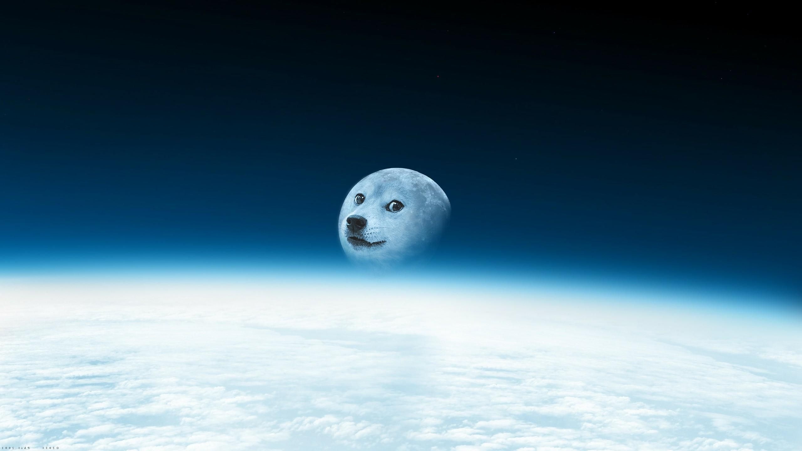 2560x1440 Doge Meme Wallpaper, Desktop