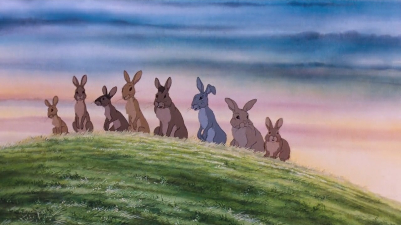 1280x720 Watership Down wallpaper, Movie, HQ Watership Down pictureK Wallpaper 2019, Desktop