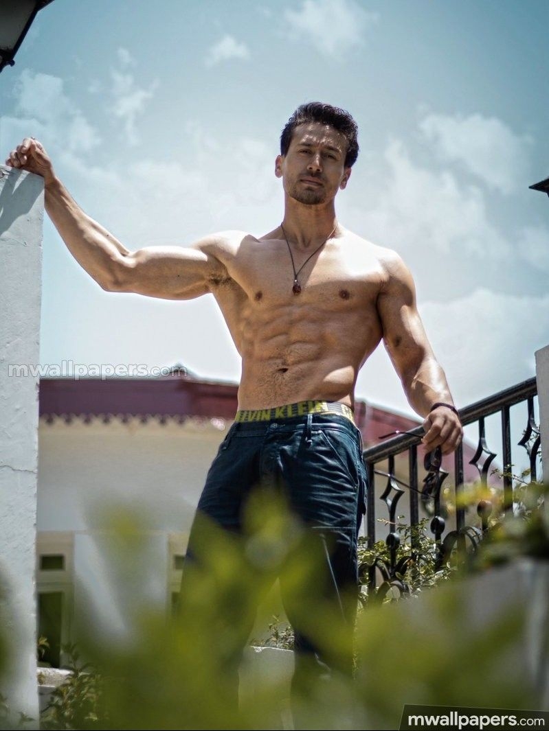 800x1070 Tiger Shroff Best HD Photo (1080p) () (2021), Phone