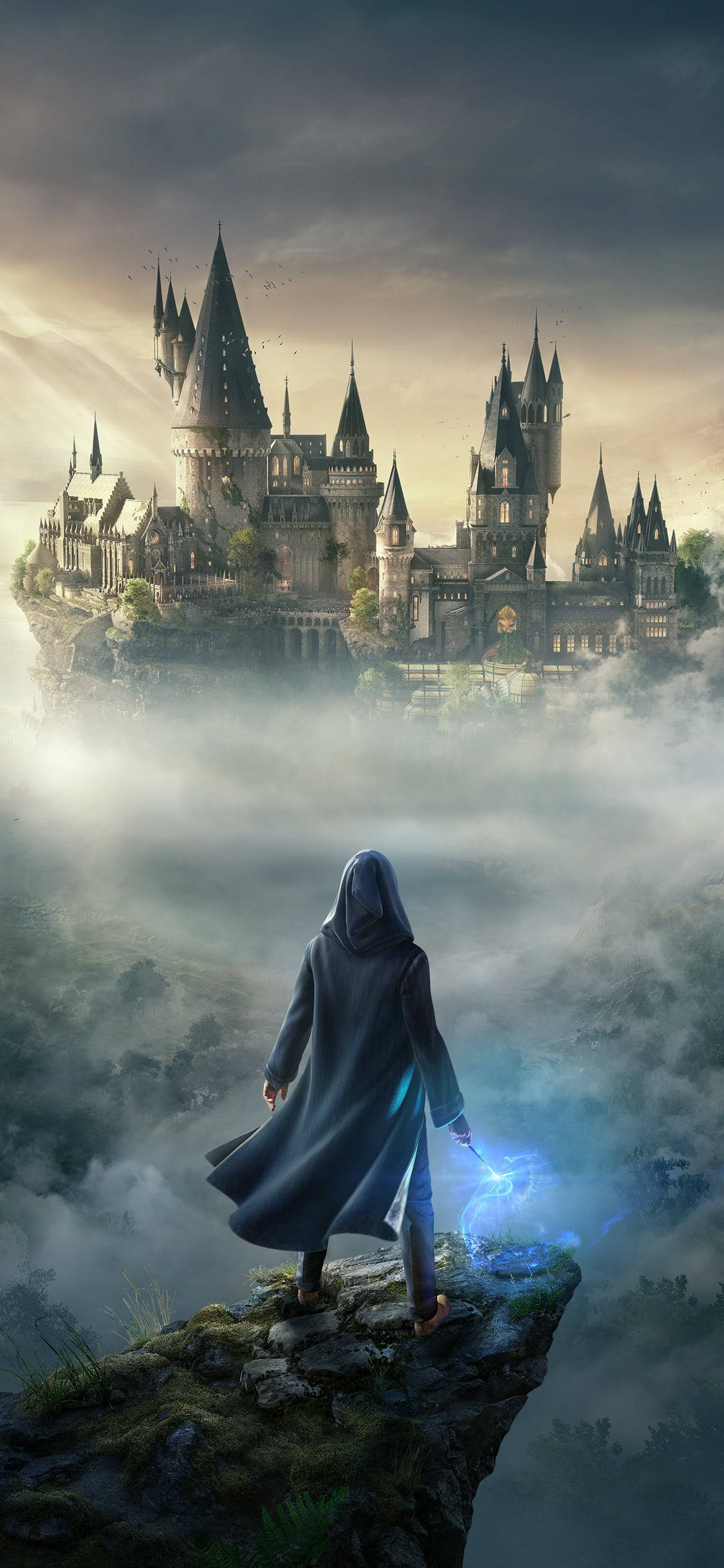 1130x2440 Download Video Game Harry Potter Hogwarts iPhone Wallpaper, Phone