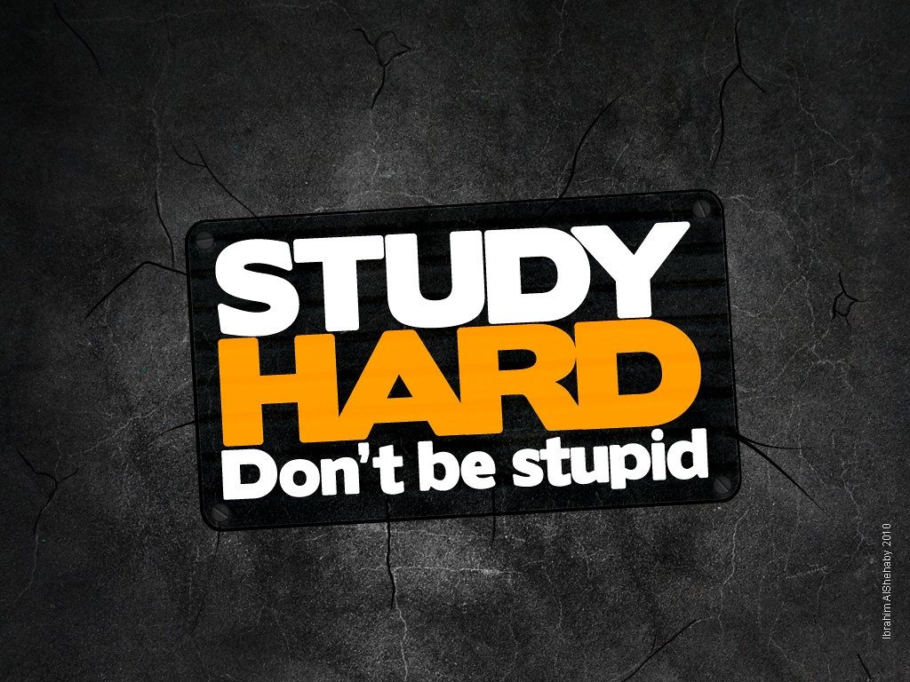 1030x770 study hard wallpaper. i made this wallpaper to remind me in, Desktop