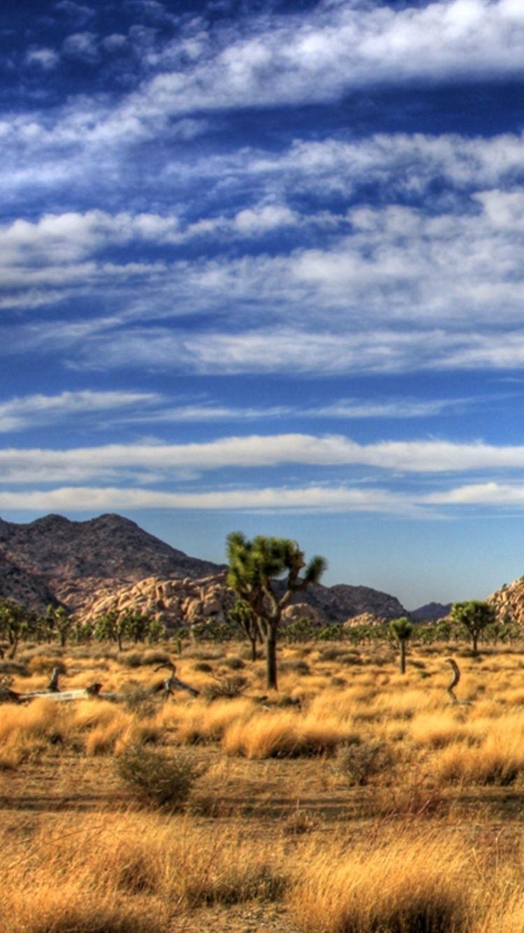 750x1340 IPhone 7 Joshua Tree National Park, Phone