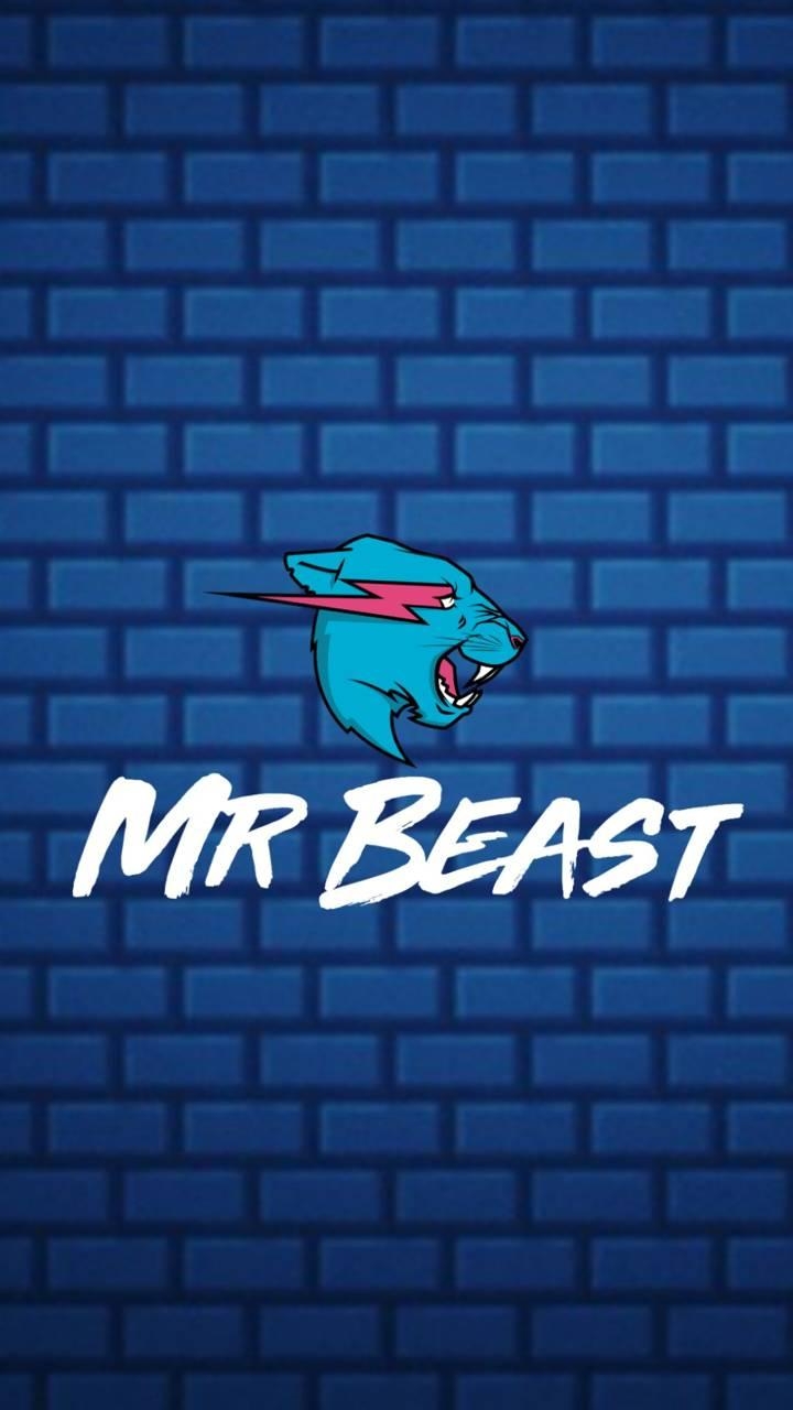 720x1280 MrBeast Wallpaper, Phone