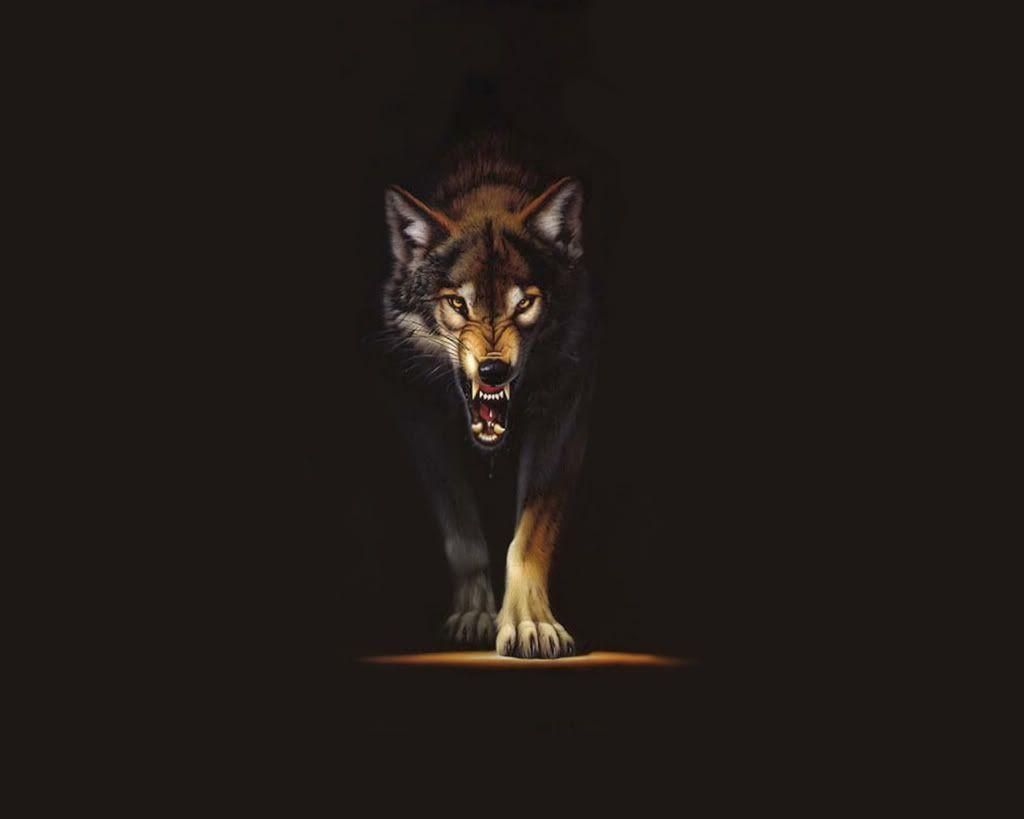 1030x820 Wallpaper For > Black Wolf Wallpaper HD, Desktop